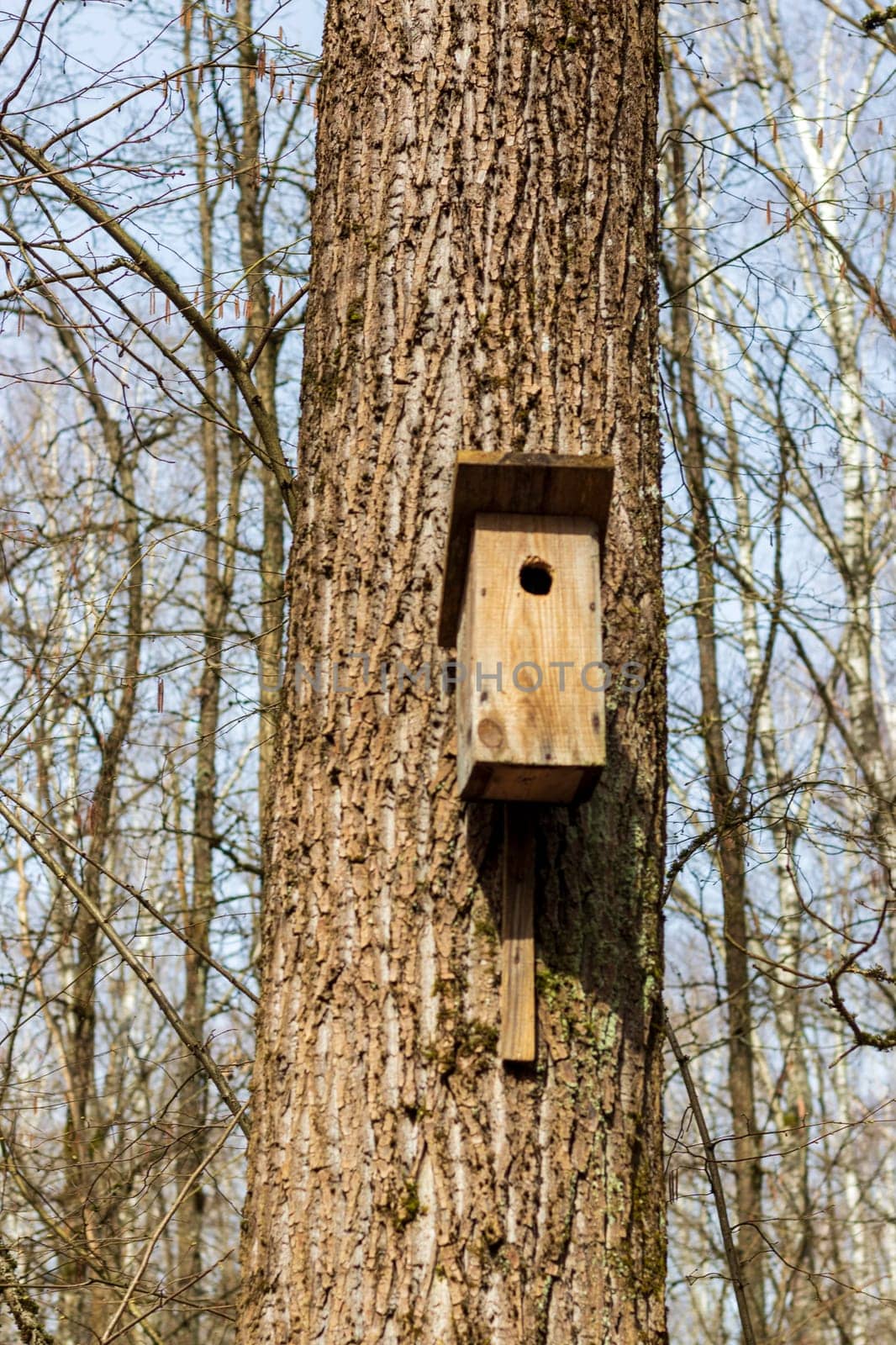 Concept shot of the wooden birdhouse