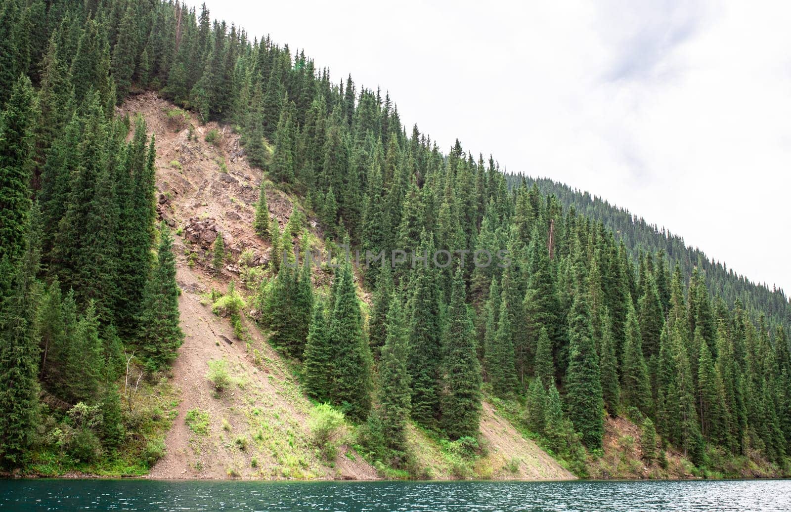 Crystal-clear lake reflects lush green forest and towering mountains, creating a tranquil and serene landscape.