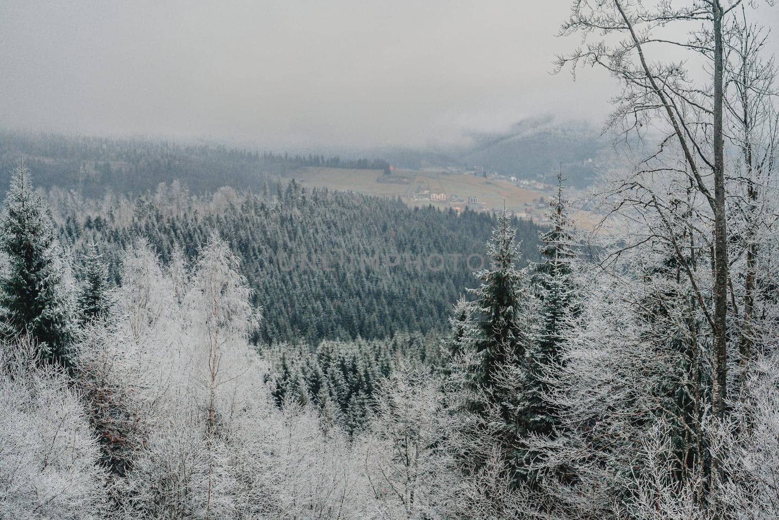 Winter, north destination. Mountains, frozen nature, spruce, evergreen trees. by kristina_kokhanova