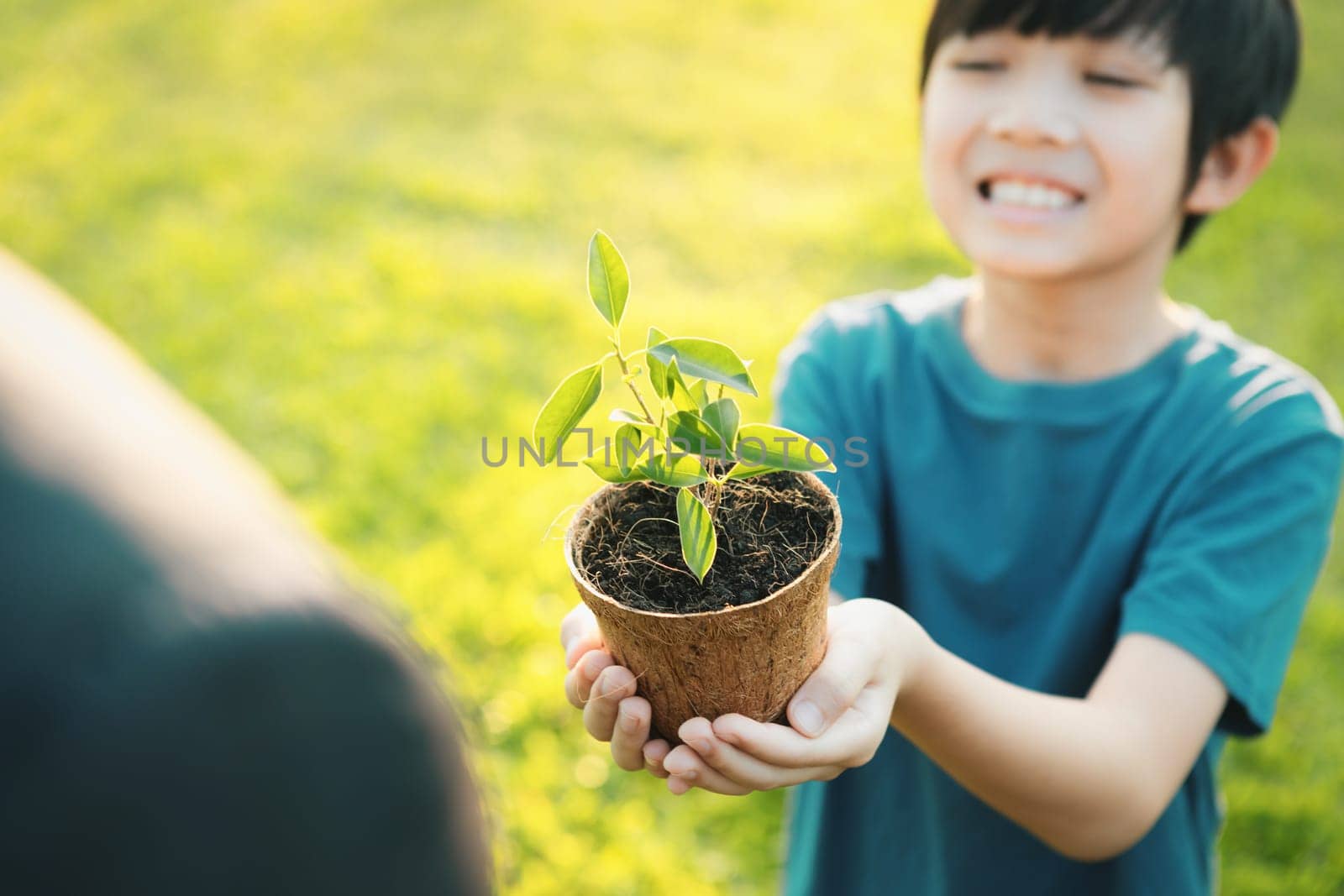 Promoting eco awareness on reforestation and long-term environmental sustainability with asian boy holding plant. Nurturing greener nature for future generation with sustainable ecosystem. Gyre