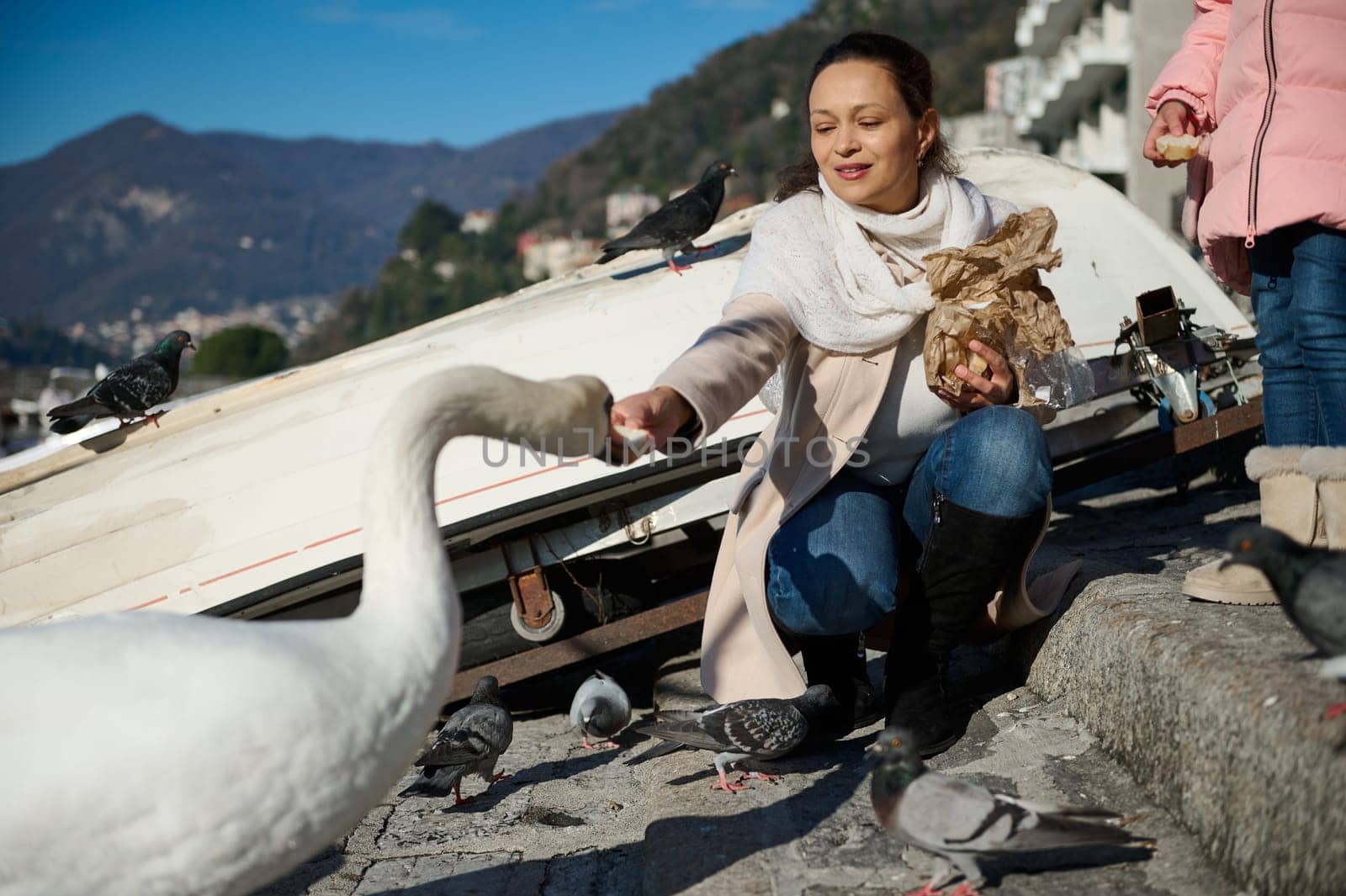 Happy young woman feeding white swans on the lake of Como, enjoying a happy weekend outdoors. Italian Alps on the background