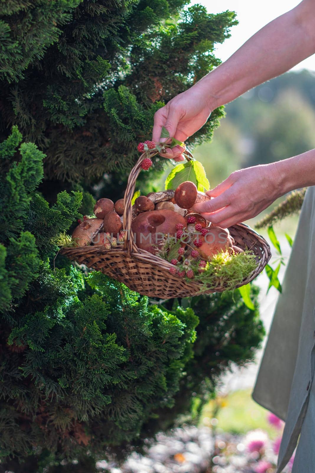 Freshly picked various edible porcini mushrooms and boletus in a wicker basket in the hands of a woman among the grass by KaterinaDalemans