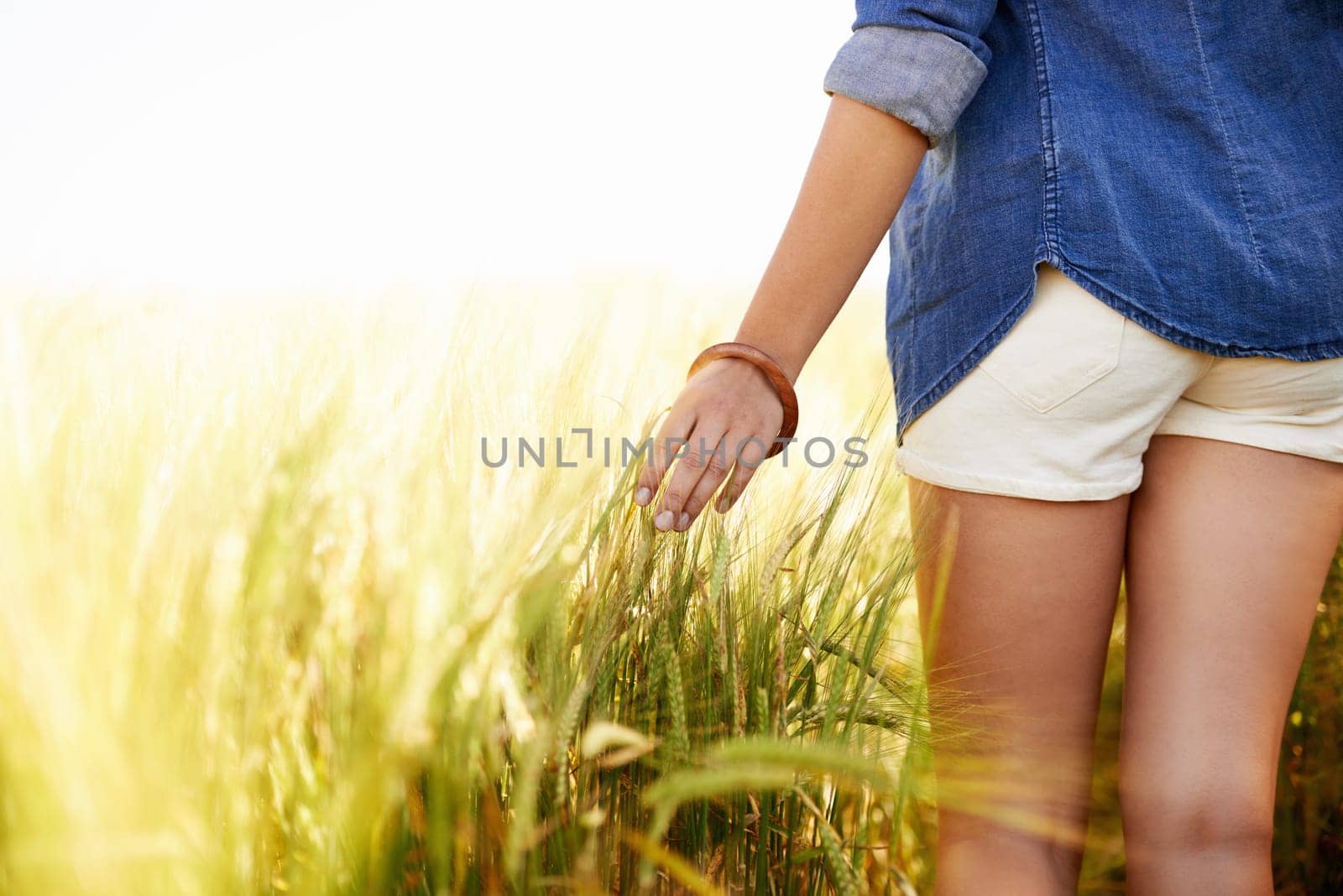 Woman, hand and touch outdoor in wheat field, spring and relax in sustainable nature. Female person, back and travel to meadow on summer holiday or vacation, environment and trip to countryside.