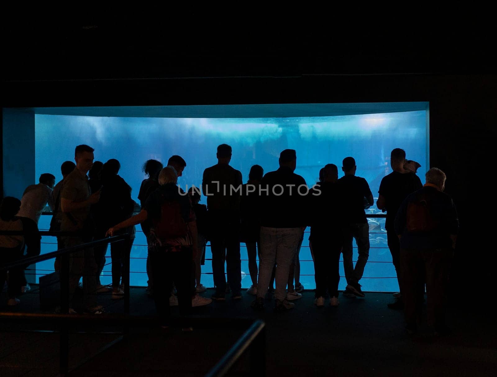 Silhouette - a of people are standing in front of a large aquarium. The aquarium is lit up and has a blue light. The people are looking at the aquarium and seem to be enjoying the experience