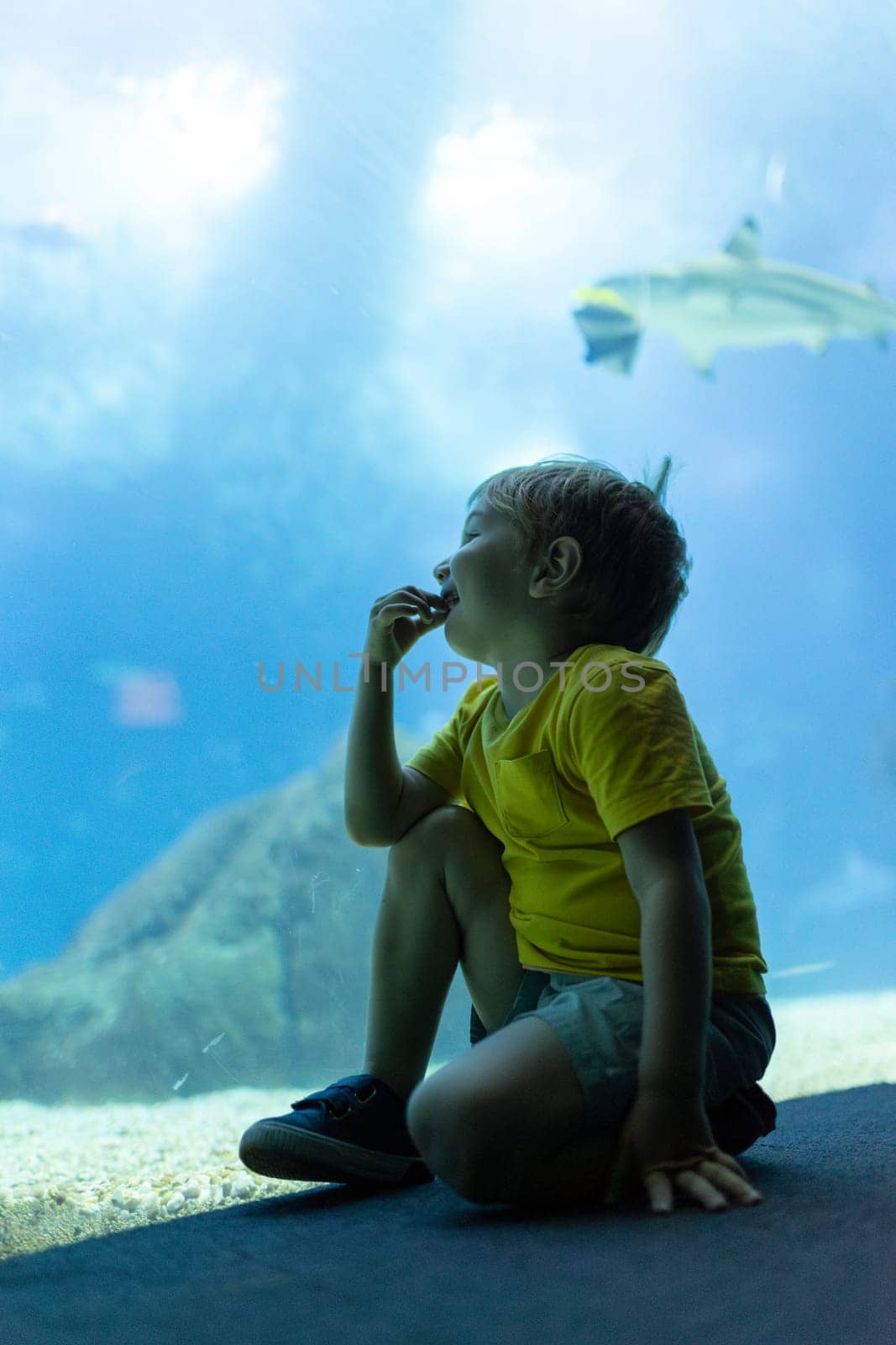 A young boy is sitting on the floor in front of a fish tank - aquarium in oceanarium. He is eating a snack while looking at the fish in the tank