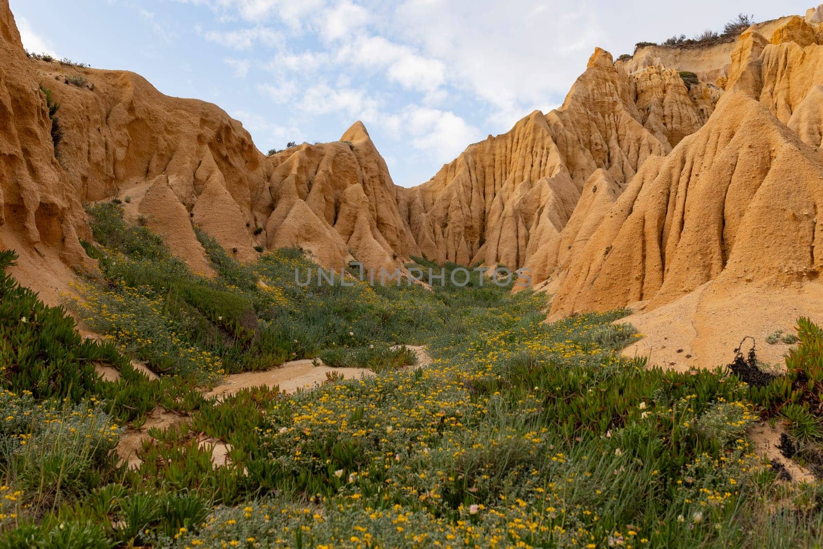 A rocky, barren landscape with a few patches of green grass and yellow flowers by Studia72
