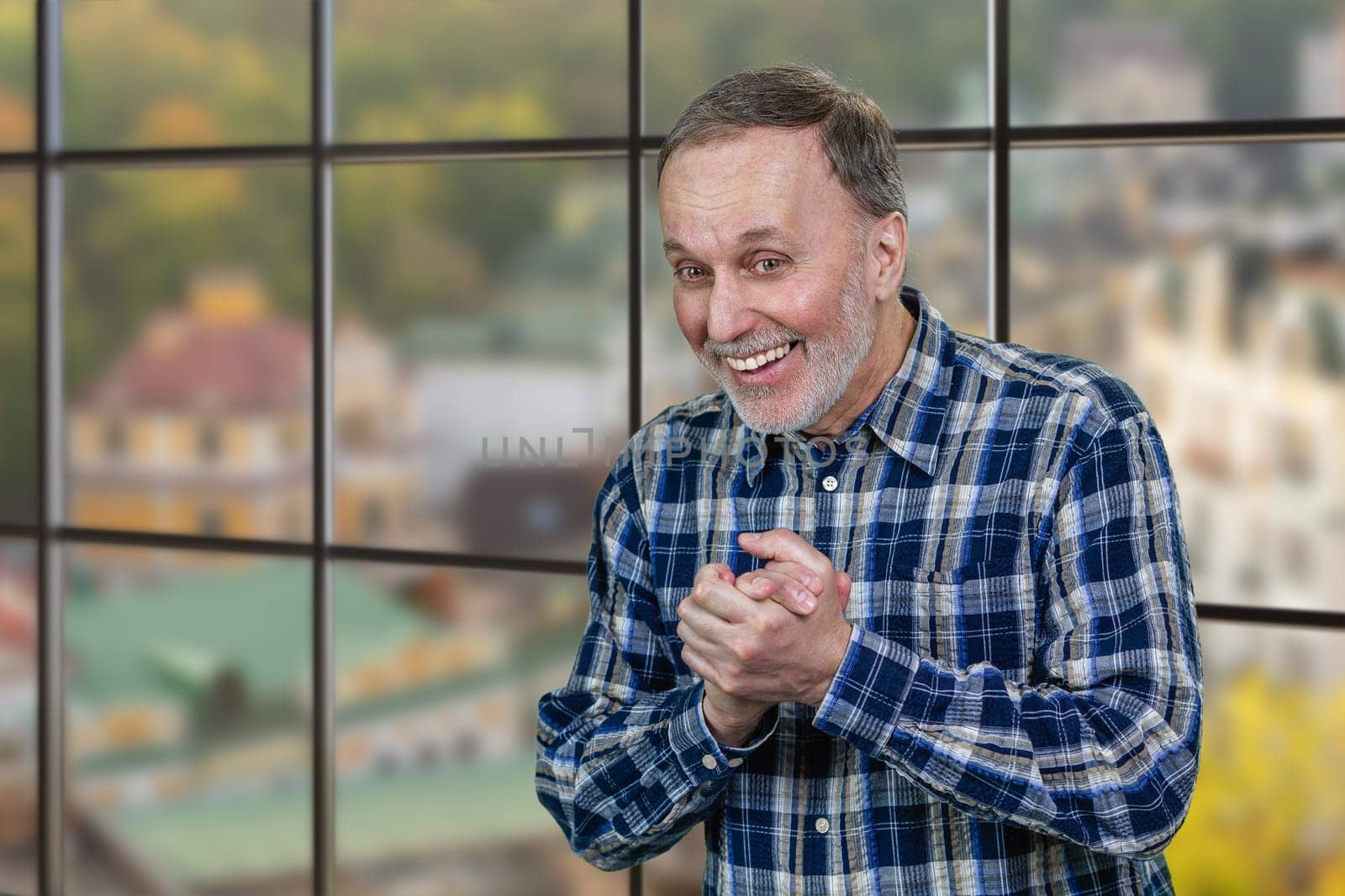 Portrait of a smiling aged businessman in office rubbing his hands. Checkered window background.
