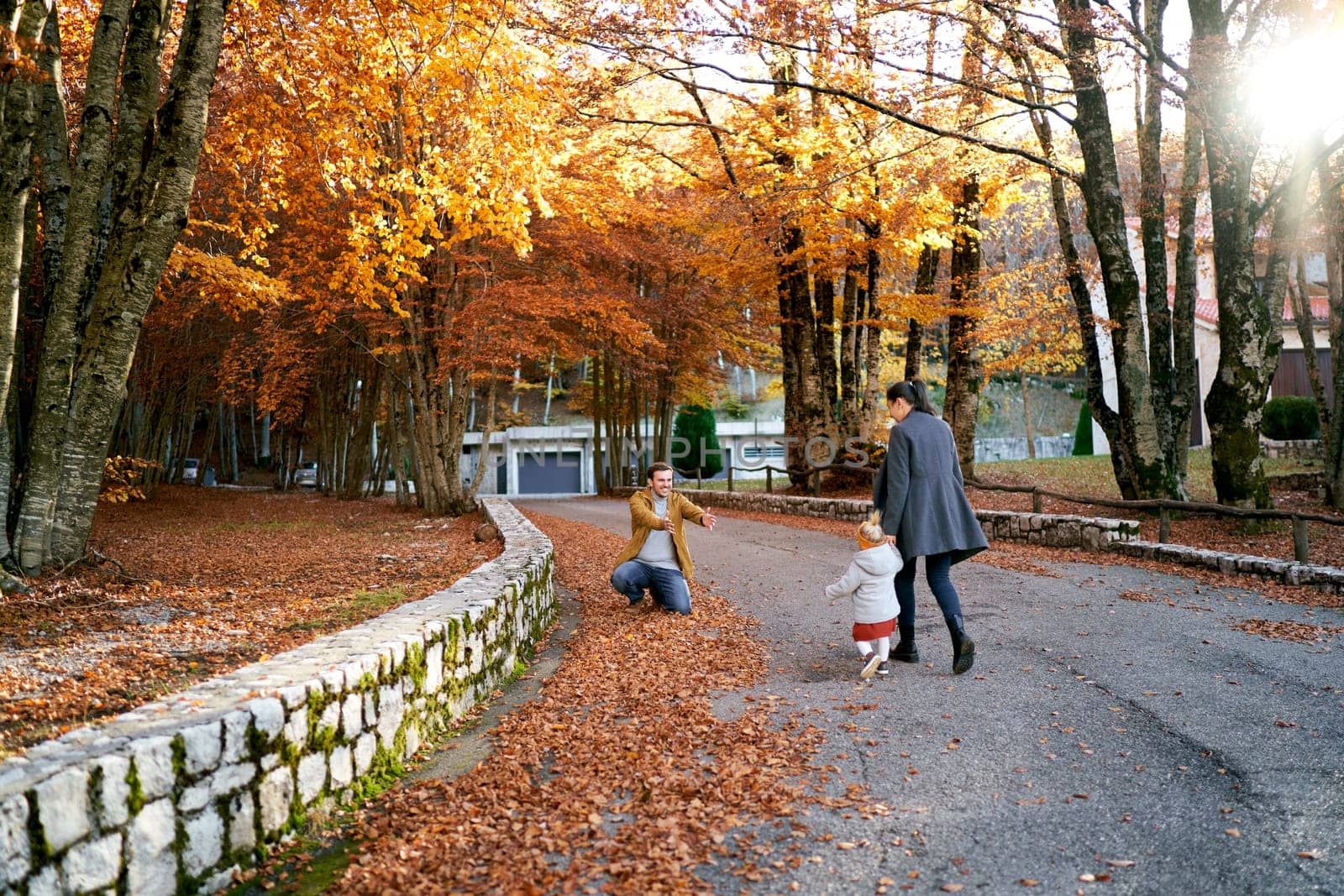 Mom and a little girl walk holding hands along the alley to dad who opened his arms while squatting. High quality photo