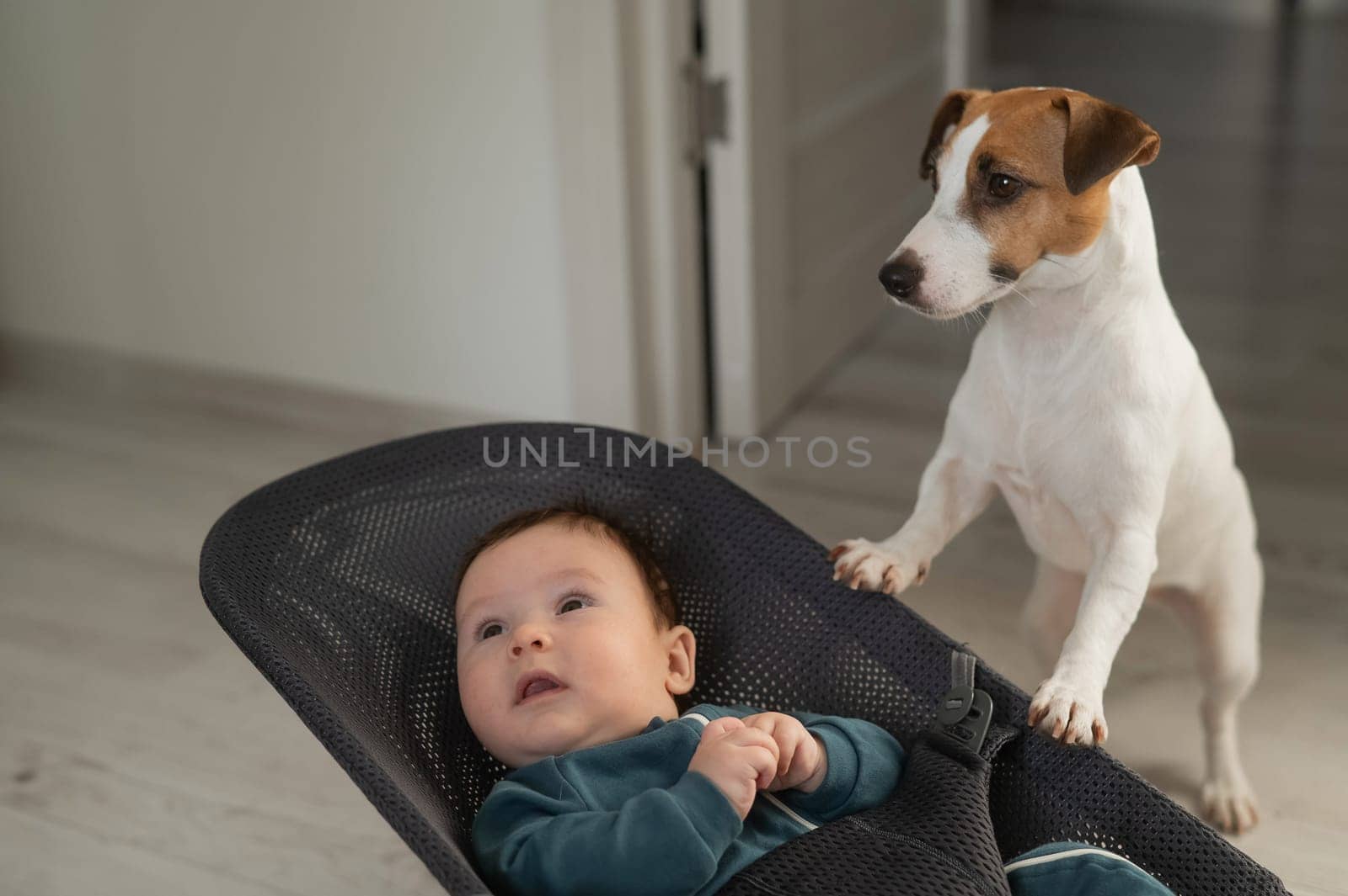 A dog rocks a cute three month old boy dressed in a blue onesie in a baby bouncer. by mrwed54