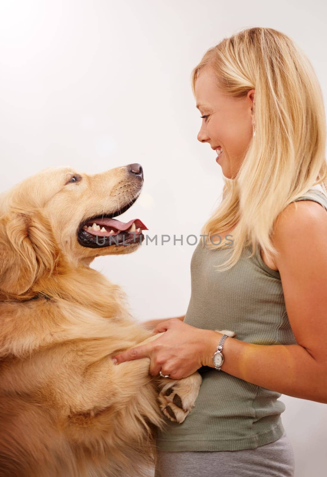 Woman, playing and labrador dog in studio as love for pets, puppy and animal with happiness as childhood friend. Happy, person and bonding with companion by teaching, learning and tricks growth by YuriArcurs