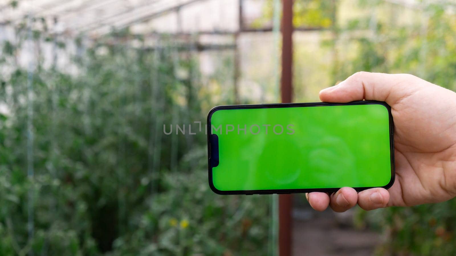 Artificial intelligent management system in farm. Smart gardening at home. Empty green screen chroma key mobile phone sample. Futuristic ai technologies in farming agriculture.