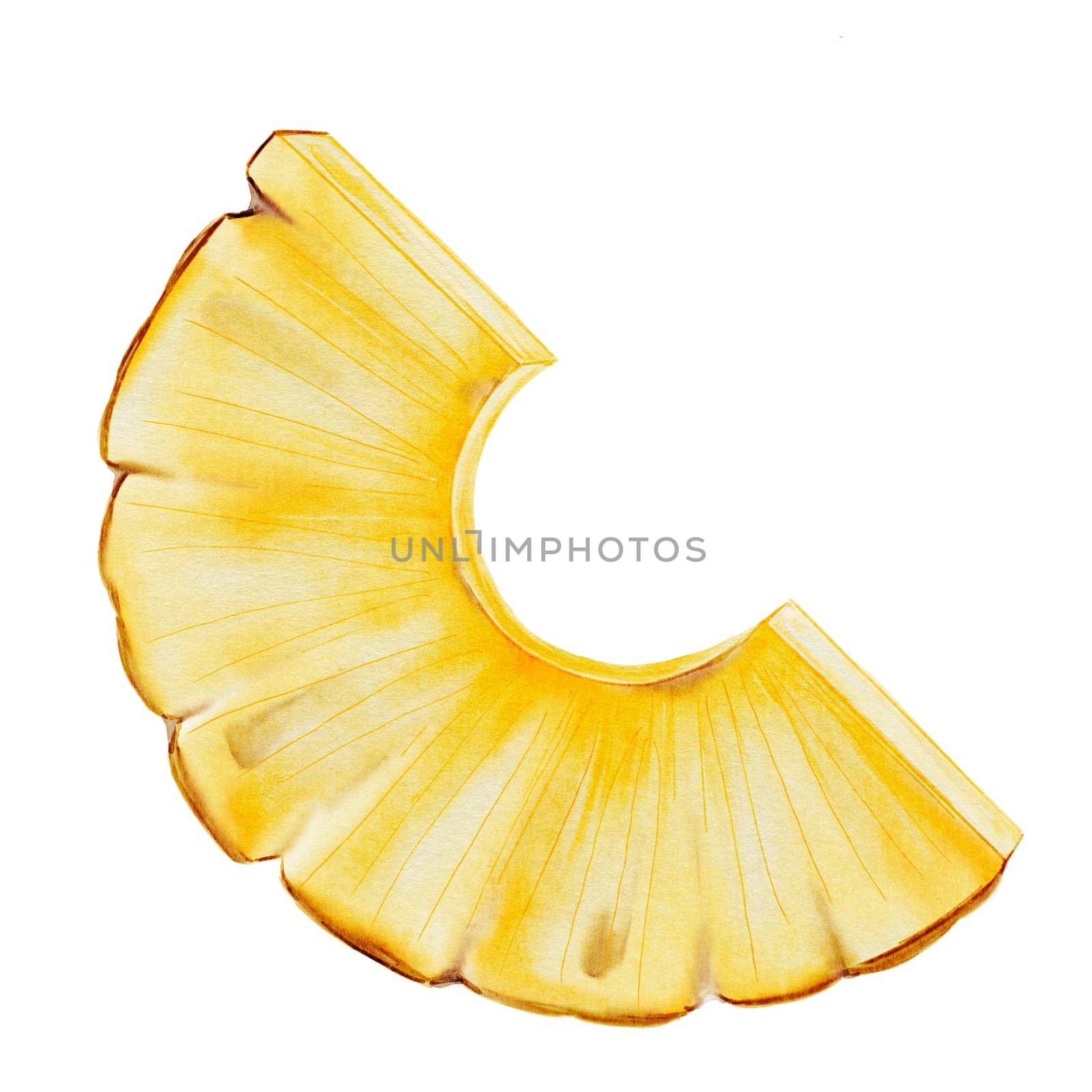 Pineapple slice watercolor. Hand drawn isolated drawing on white background. Clip art of ripe tropical fruit. For the design of exotic cocktail menus and cosmetics packaging. Food illustration. High quality photo