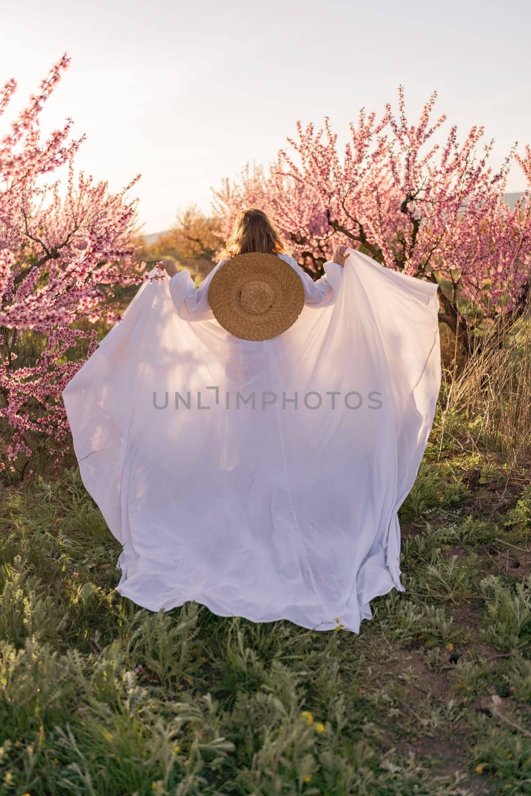 Woman blooming peach orchard. Against the backdrop of a picturesque peach orchard, a woman in a long white dress and hat enjoys a peaceful walk in the park, surrounded by the beauty of nature