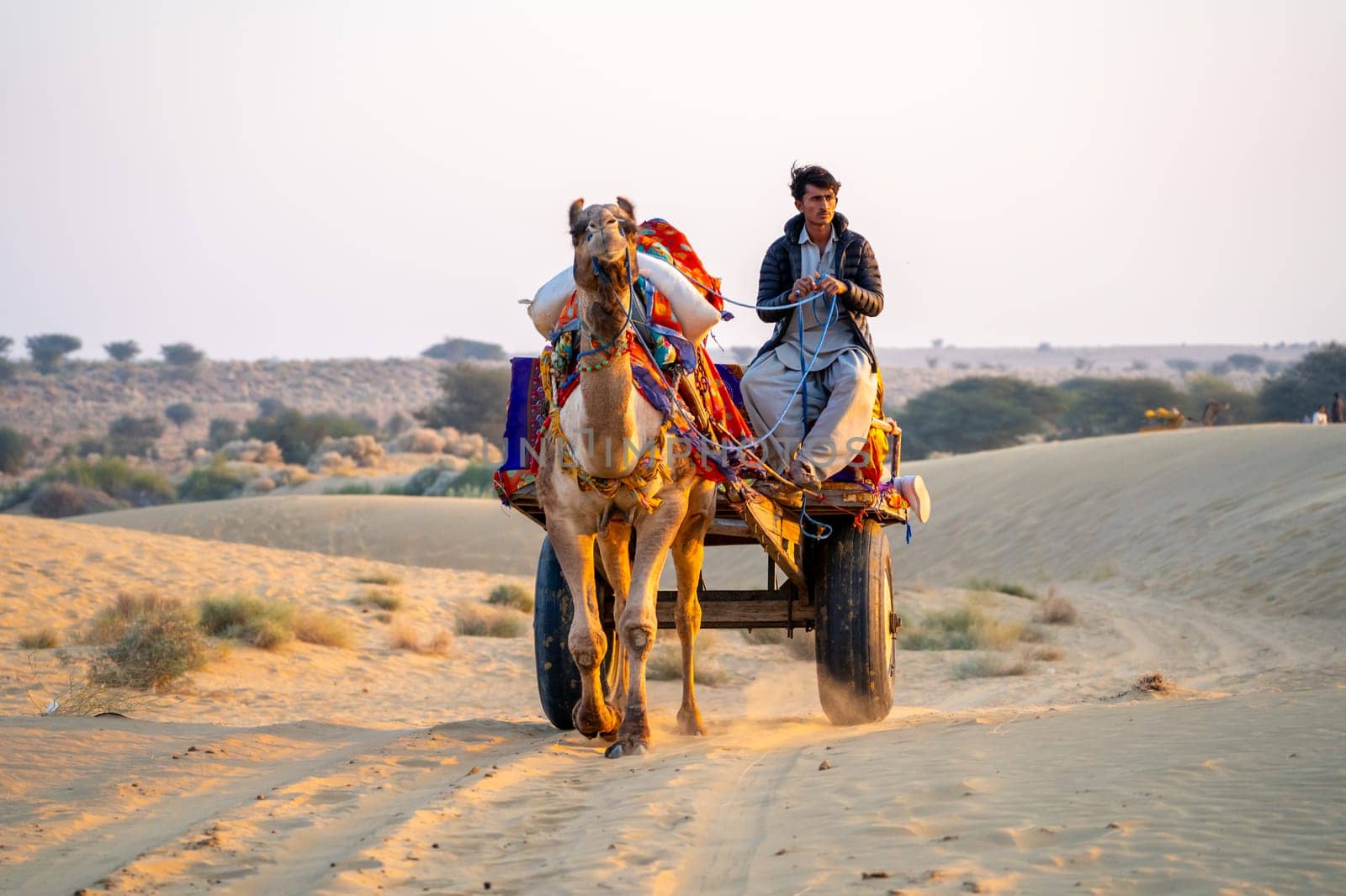 Jaisalmer, Rajasthan, India - 25th Dec 2023: camel owner sitting on a brightly colored cart and travelling along a path in sand looking for tourists