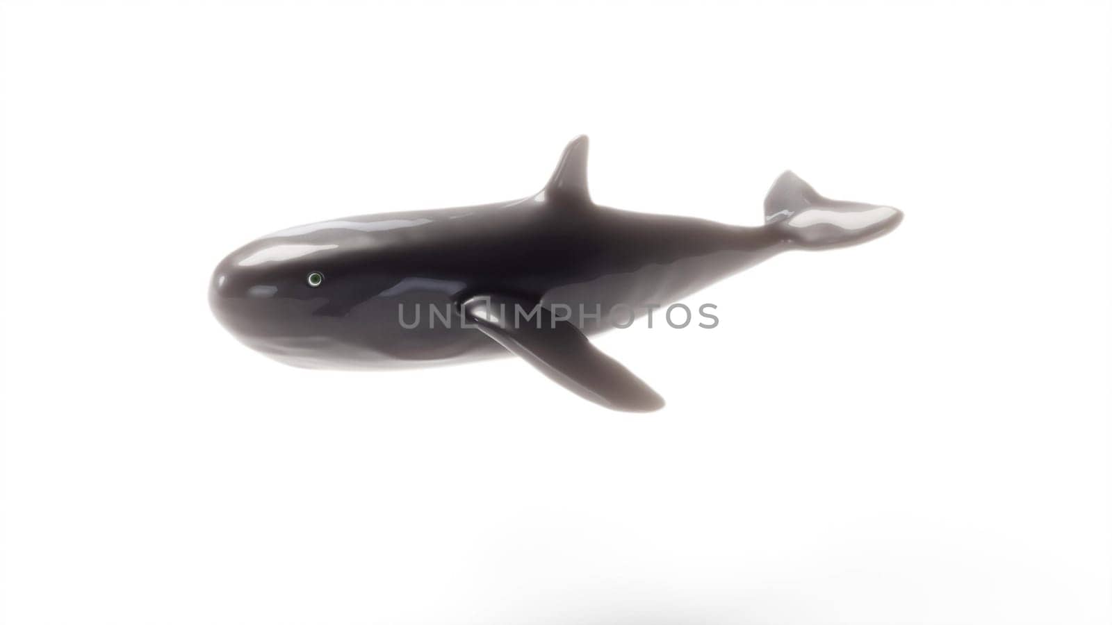Isolated 3d humpback whale swimming on white back 3d render by Zozulinskyi