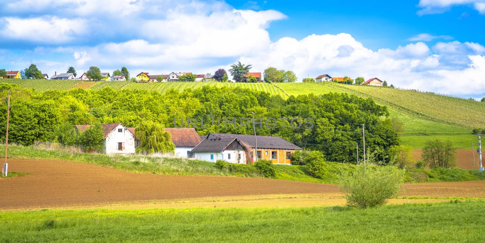 Jeruzalem hills wine region panoramic view, northeastern Slovenia