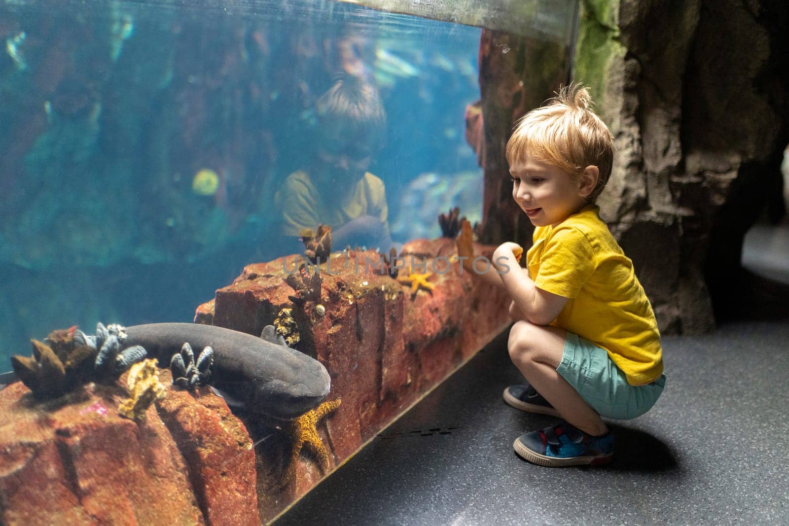 A little boy is kneeling in front of a fish tank - large aquarium by Studia72