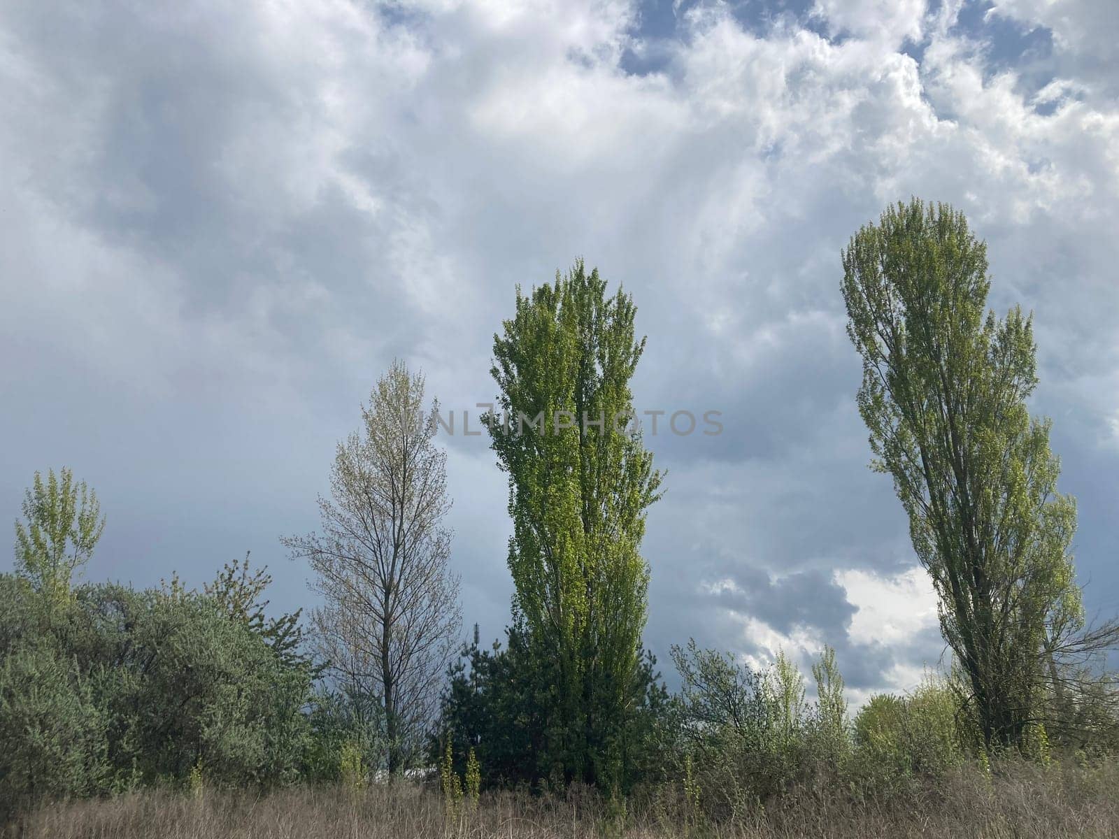 Thunderclouds before rain in a the village