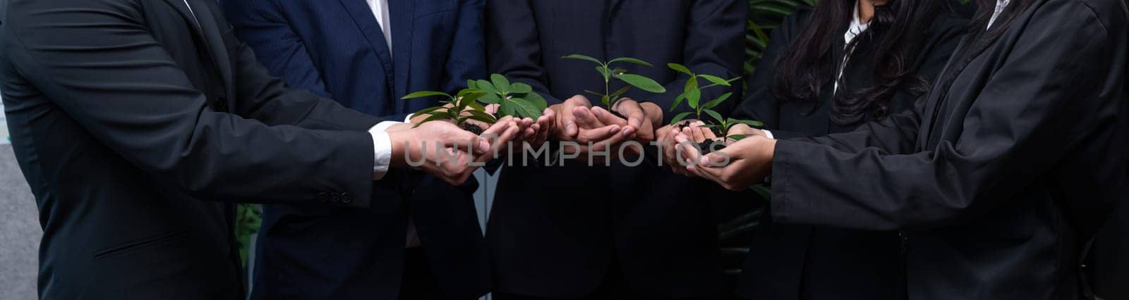 Sustainable eco-friendly business investment on forest regeneration by group of business people holding plant together in office promoting CO2 reduction and natural preservation. Panoramic view.Quaint