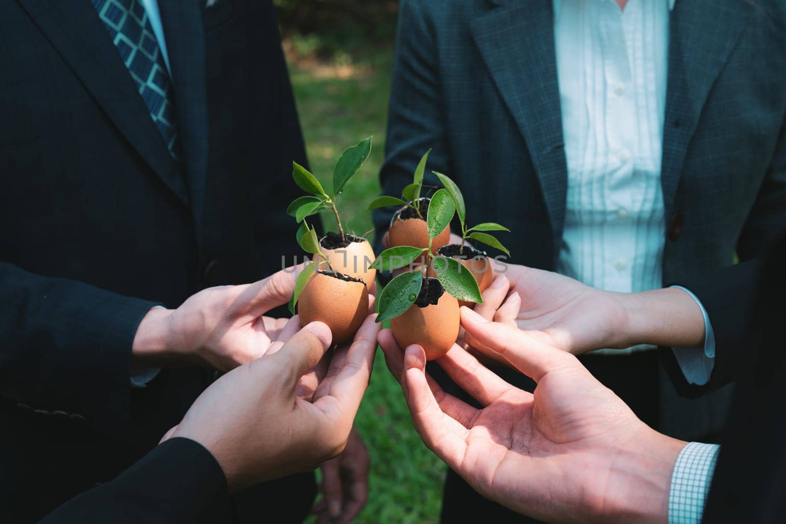 Group of business people holding repuposed eggshell transformed into fertilizer pot, symbolizing commitment to nurture and grow sprout or baby plant as part of a corporate reforestation project. Gyre