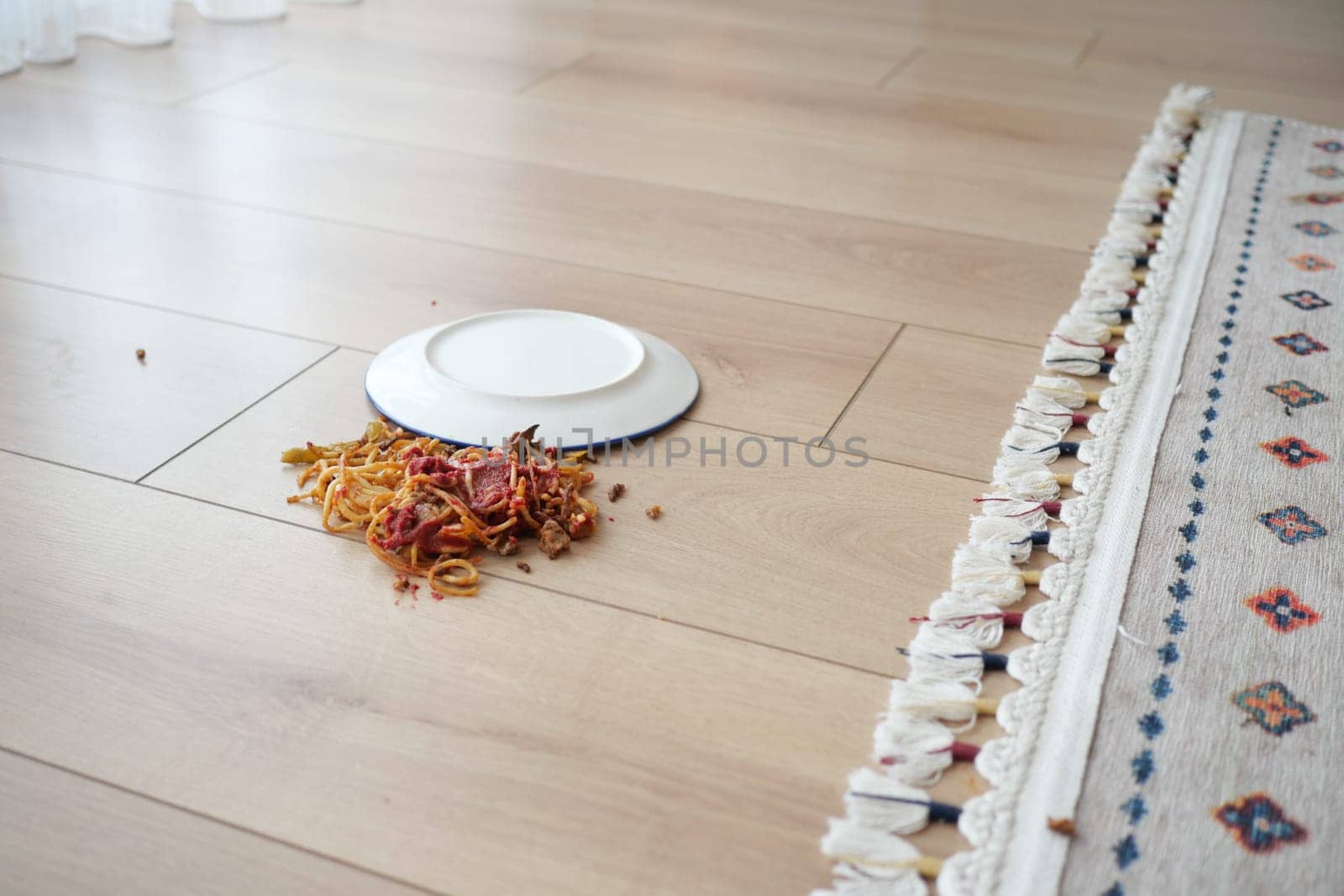Spaghetti and sauce spilled on floor. by towfiq007