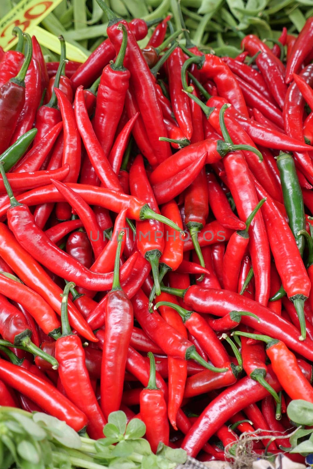 red chili pepper display for sale in singapore retail market by towfiq007