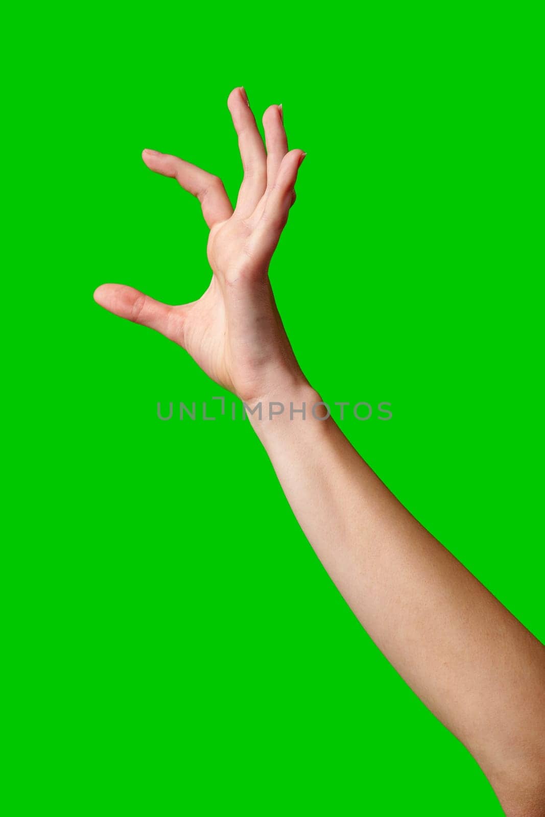 Womans Hand Reaching Up Into the Air