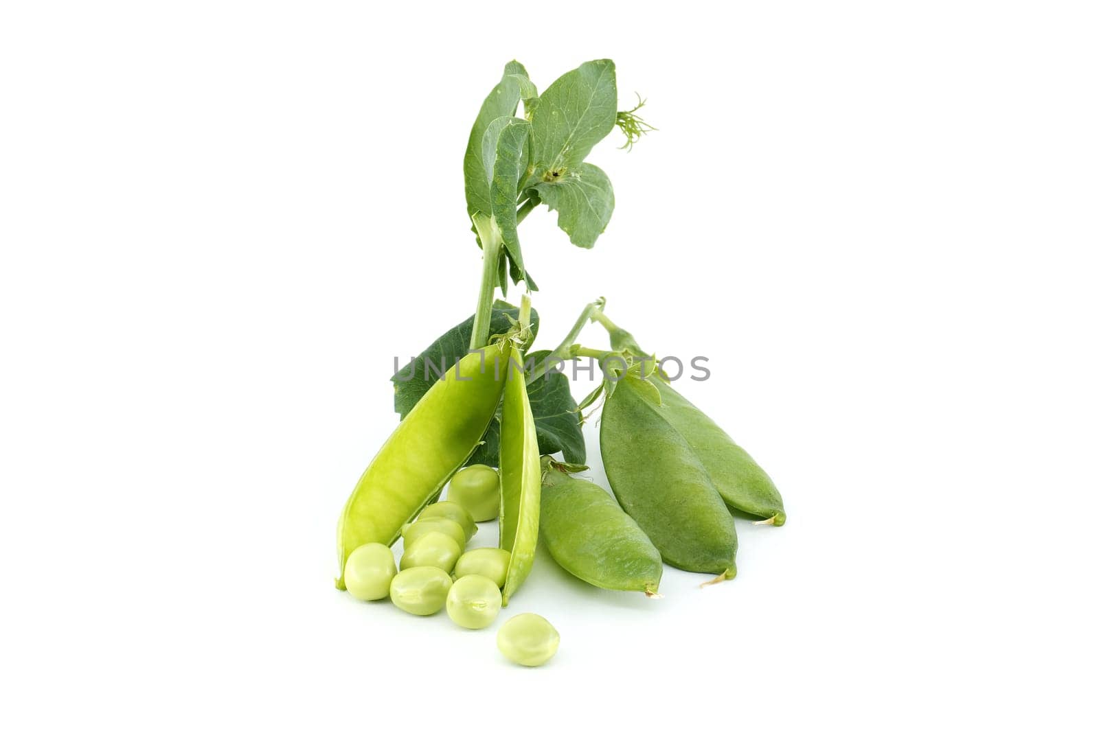 Fresh sweet peas pods with green leaves isolated on a white background, garden peas or English peas picked before full maturity