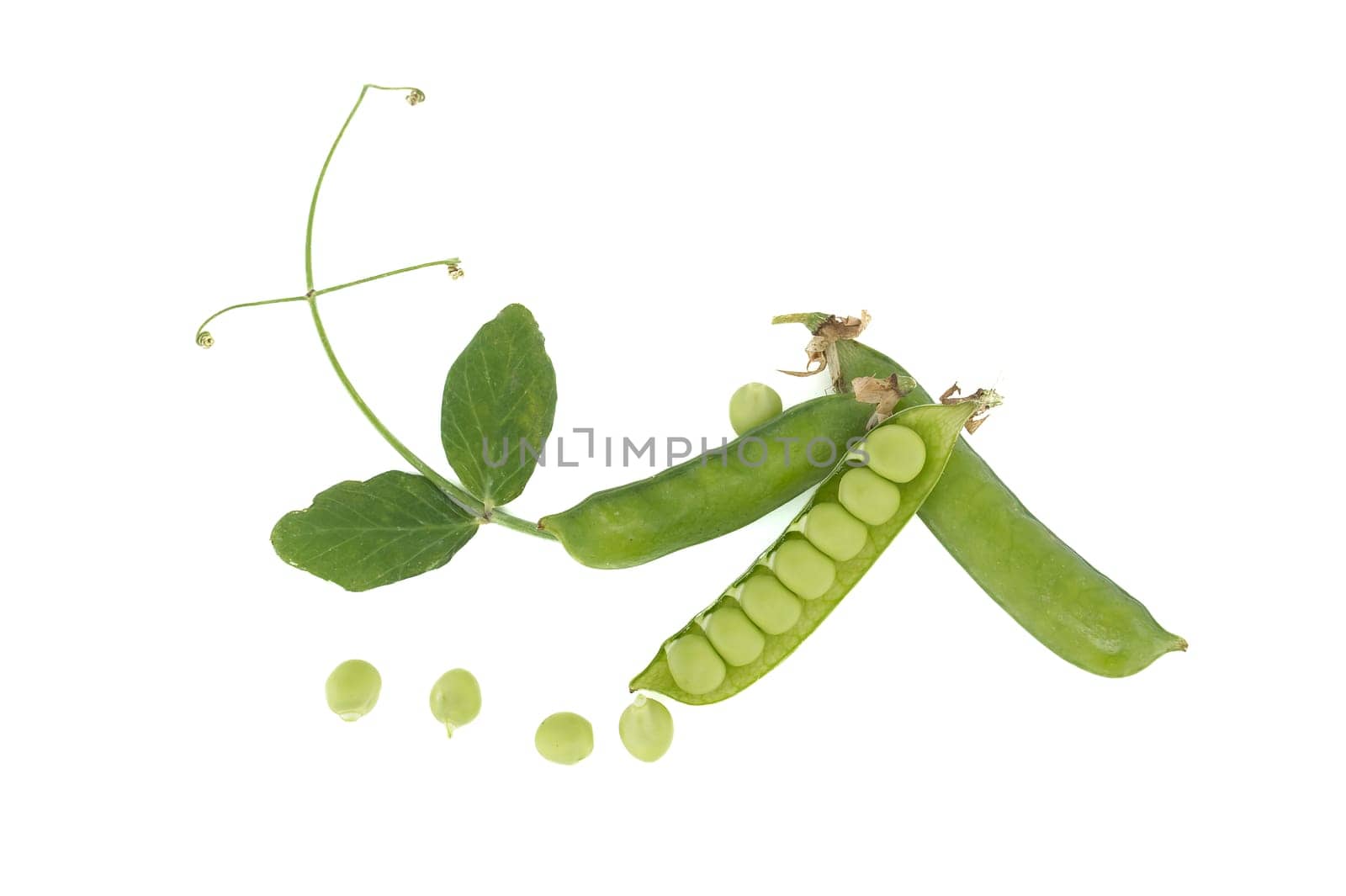 Pea pods, few peas and open pea pod and round green peas inside in close up isolated on white background