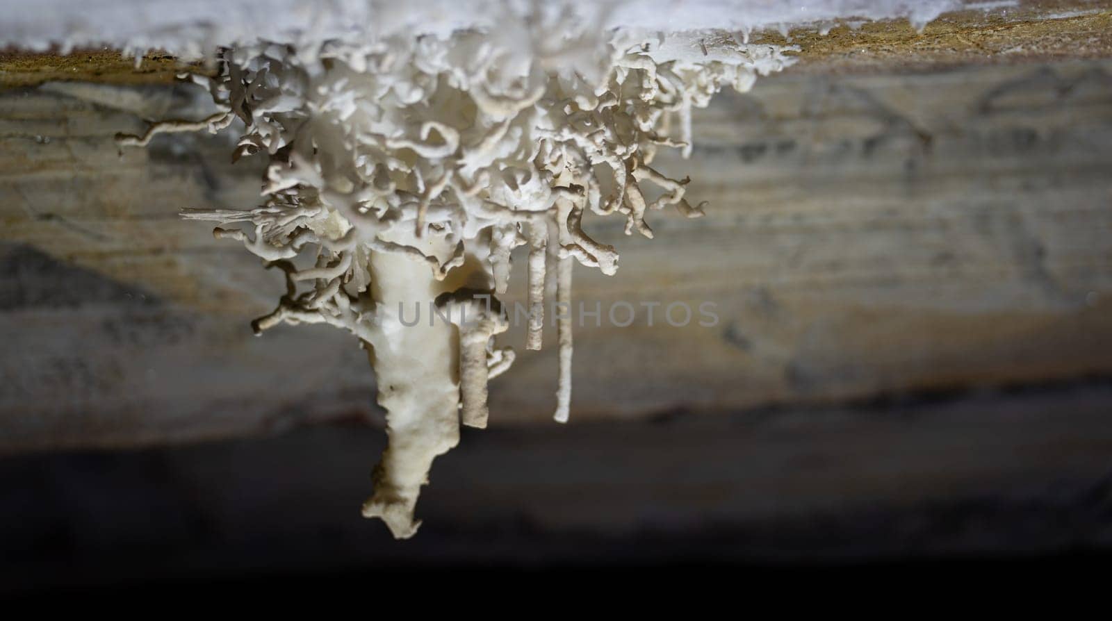Stunning view of wind-shaped stalactites from a cave ceiling, illuminated by soft light with room for text.