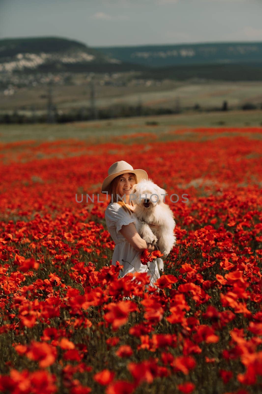 Field of poppies woman dog. Happy woman in a white dress and hat stand with her back through a blooming field of poppy with a white dog. Field of blooming poppies. by Matiunina