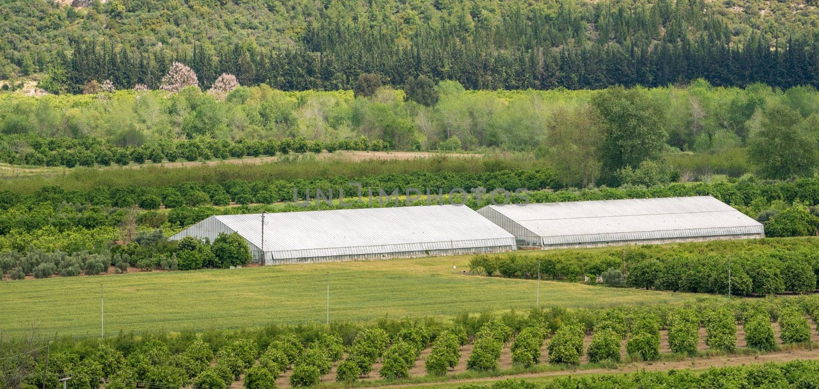 Distance view of greenhouse among fields on a sunny day by Sonat