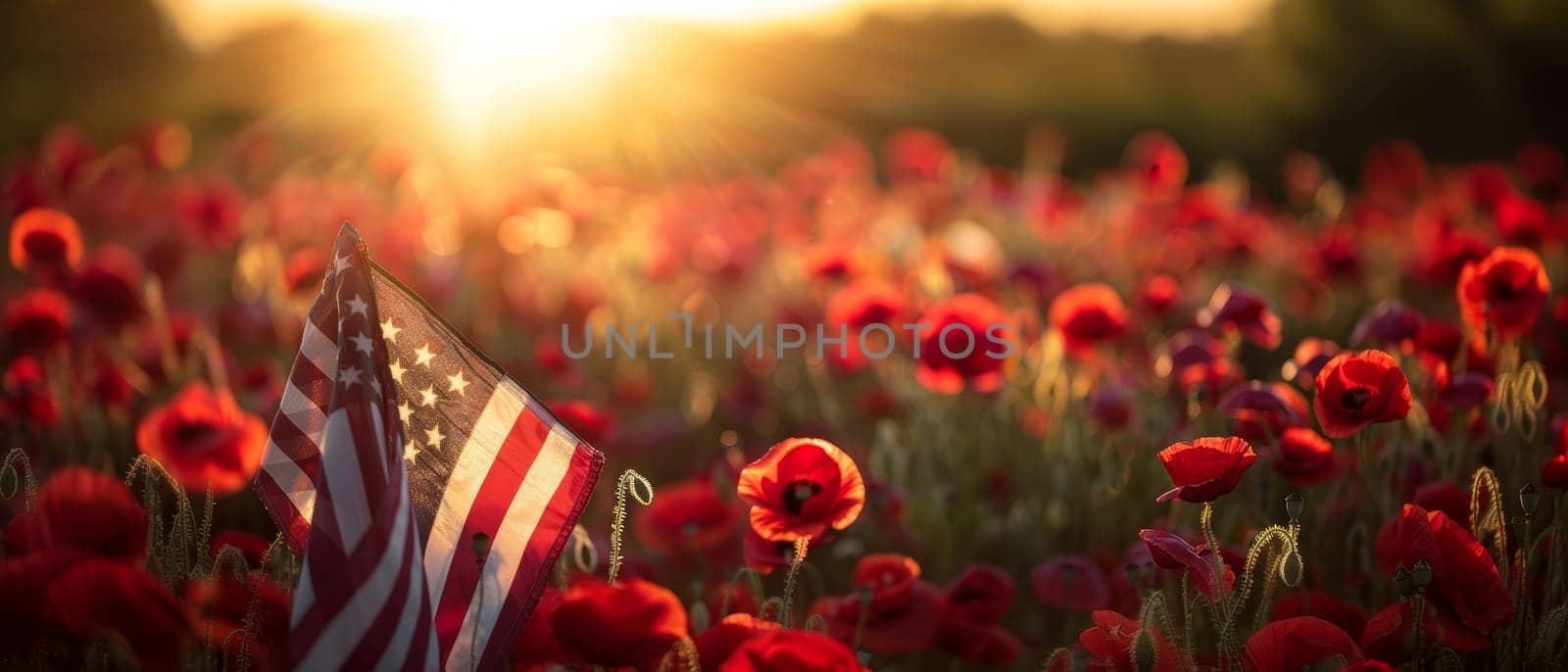 Rows of bright red poppies surround an American flag, creating a patriotic and poignant display honoring those who have served their country. by sfinks