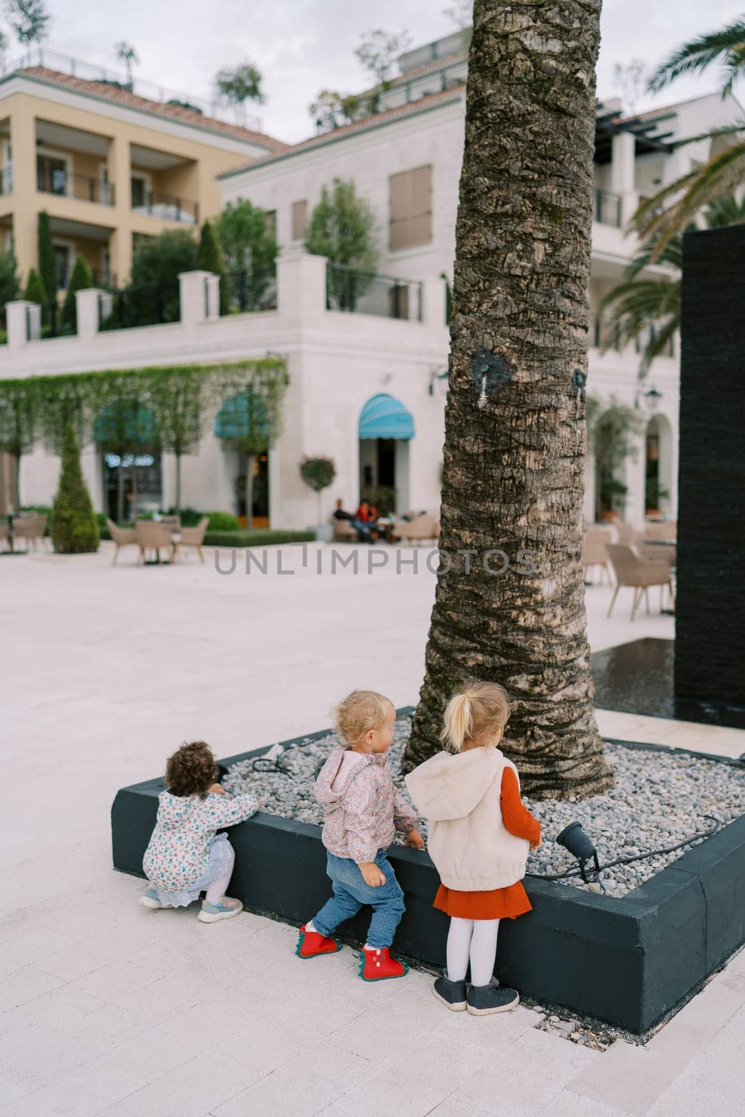 Little girls stand near a flowerbed with a growing palm tree and look at the pebbles in it. Back view by Nadtochiy
