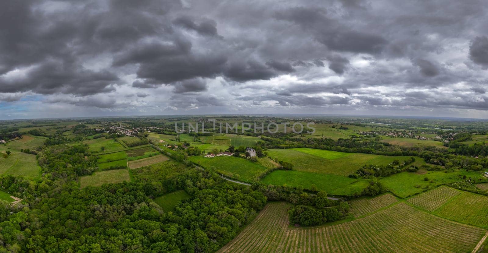 Aerial view of Bordeaux vineyard at spring under cloudy sky, Rions, Gironde, France by FreeProd