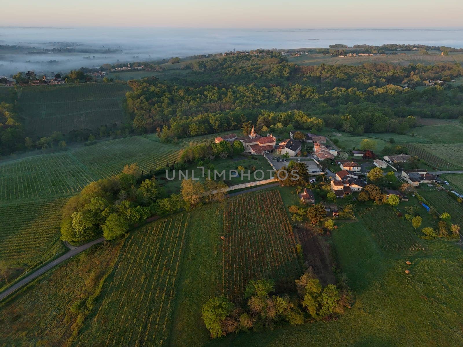 Aerial view of Bordeaux vineyard at sunrise spring under fog, Rions, Gironde, France. High quality photo