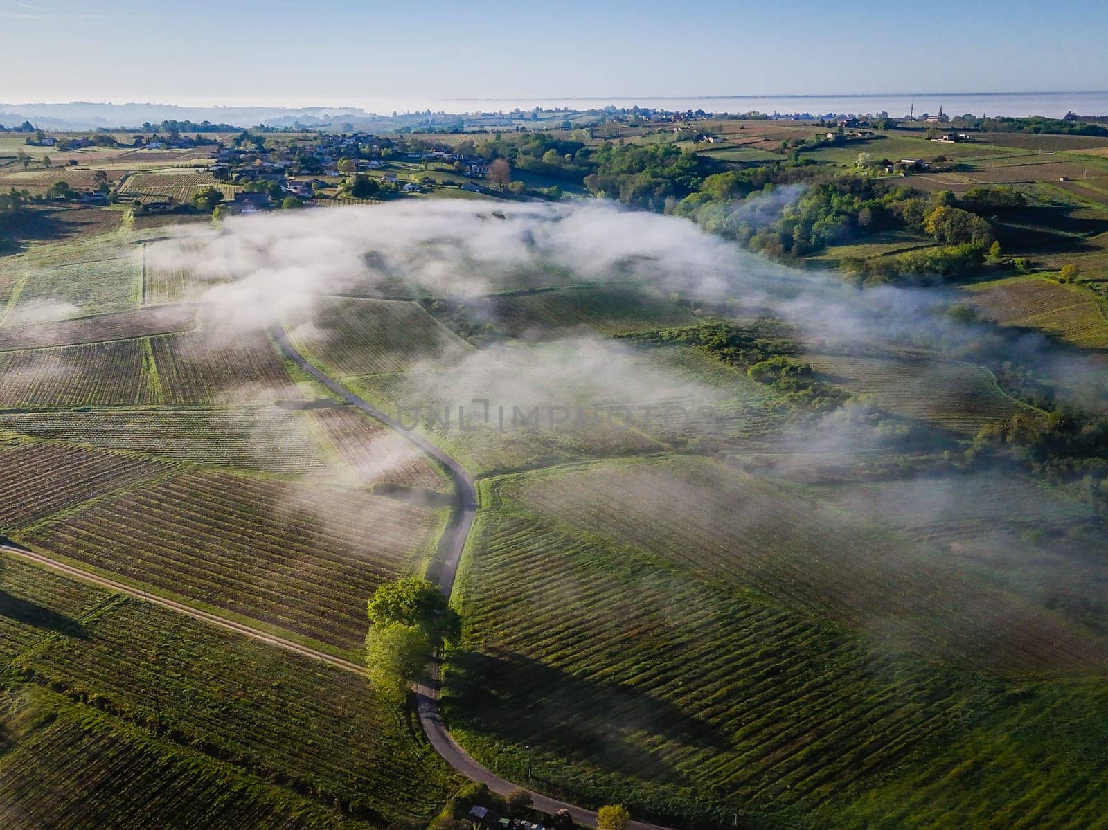 Aerial view of Bordeaux vineyard at sunrise spring under fog, Loupiac, Gironde, France by FreeProd