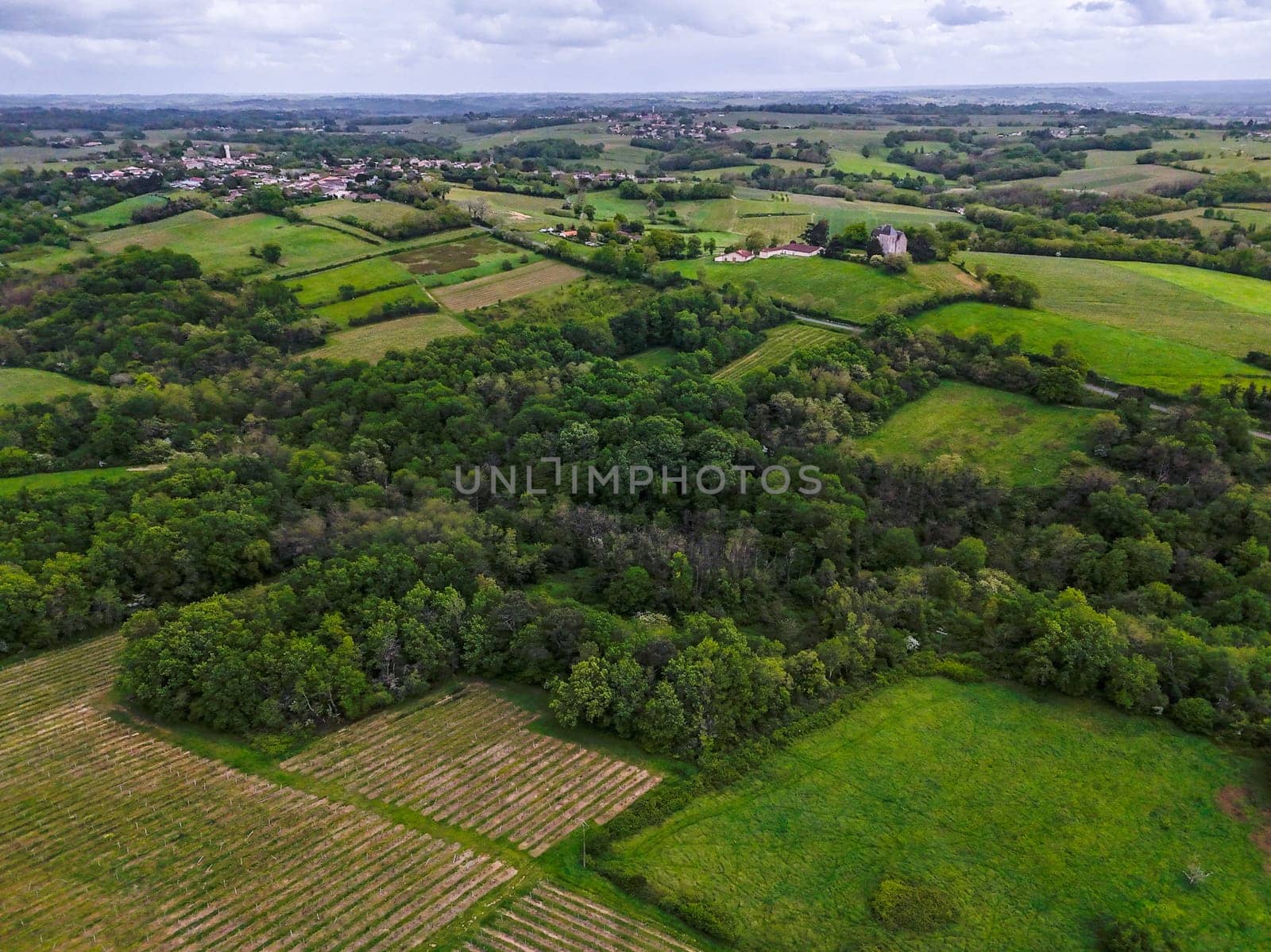 Aerial view of Bordeaux vineyard at spring under cloudy sky, Rions, Gironde, France. High quality photo