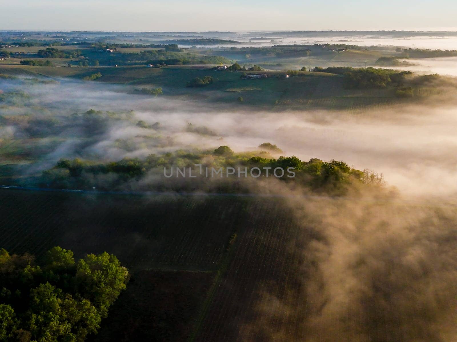 Aerial view of Bordeaux vineyard at sunrise spring under fog, Rions, Gironde, France by FreeProd