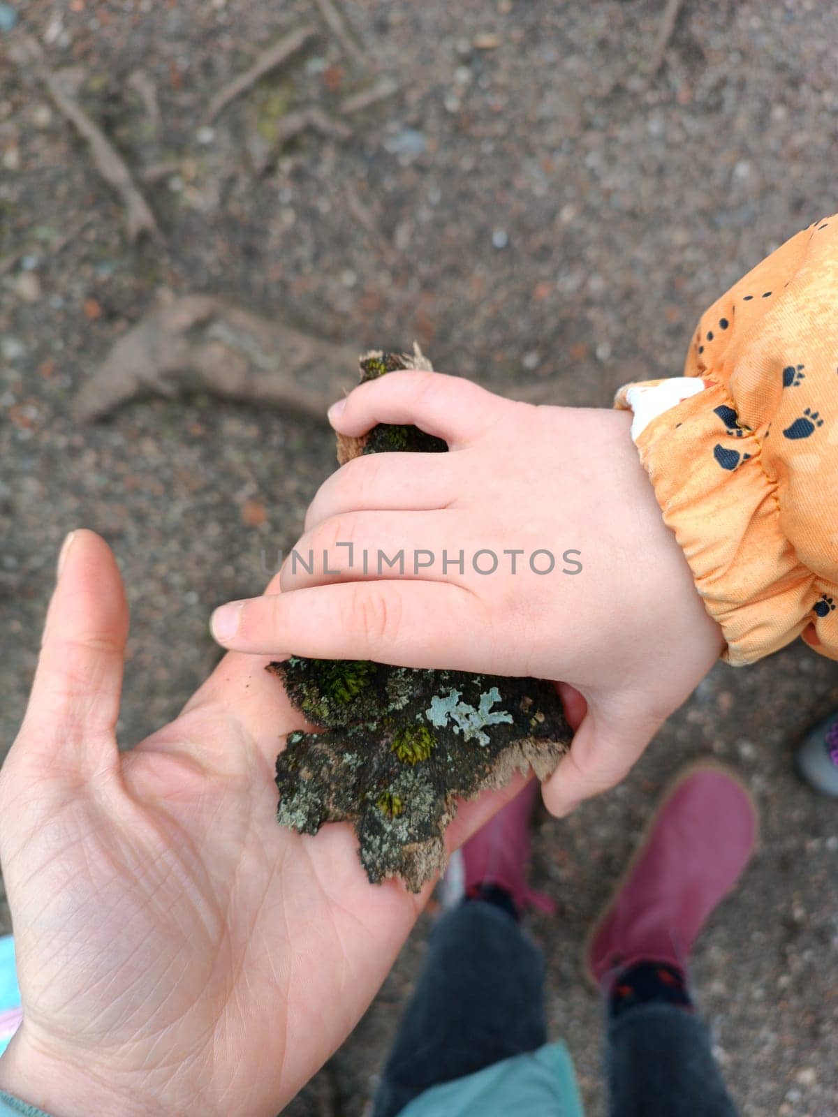 A person and a child are holding a rock together in their hands, with the childs small fingers grasping onto the rock and the persons thumb providing support