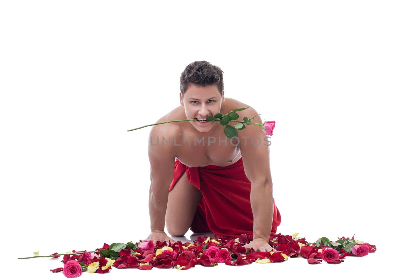 Smiling macho man posing with rose in his mouth. Isolated on white