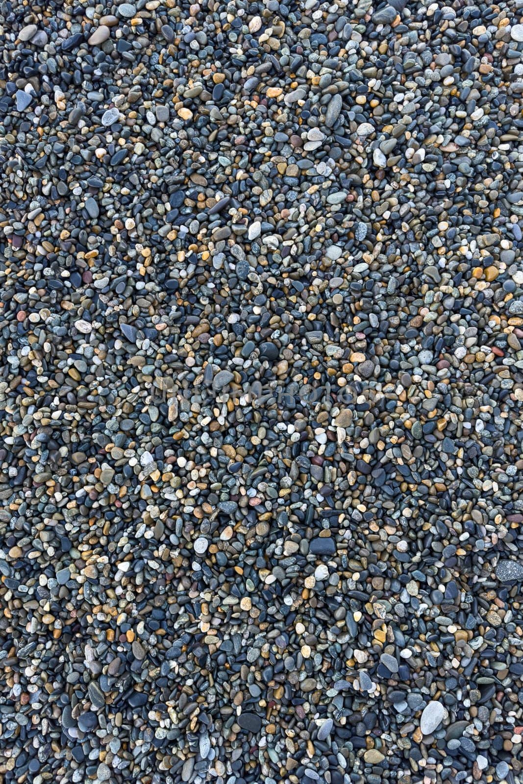the texture of the pebbles in close-up as a background by roman112007