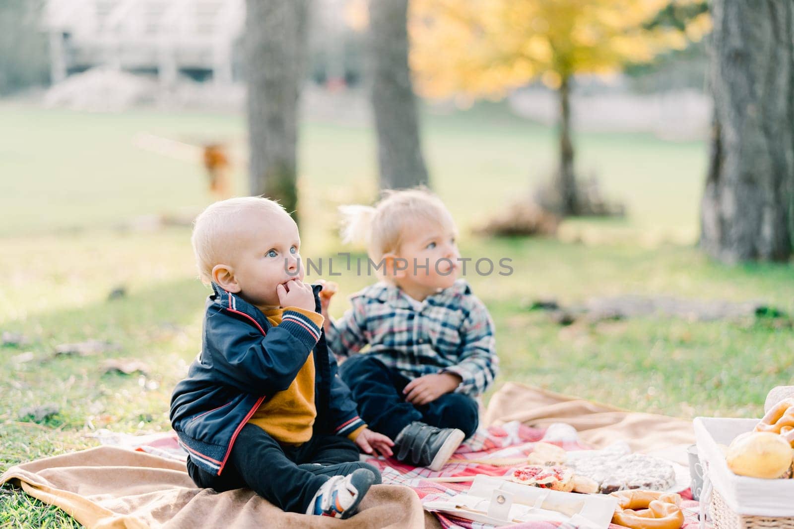 Little boy eats a bun next to a girl sitting on a blanket at a picnic in the park. High quality photo