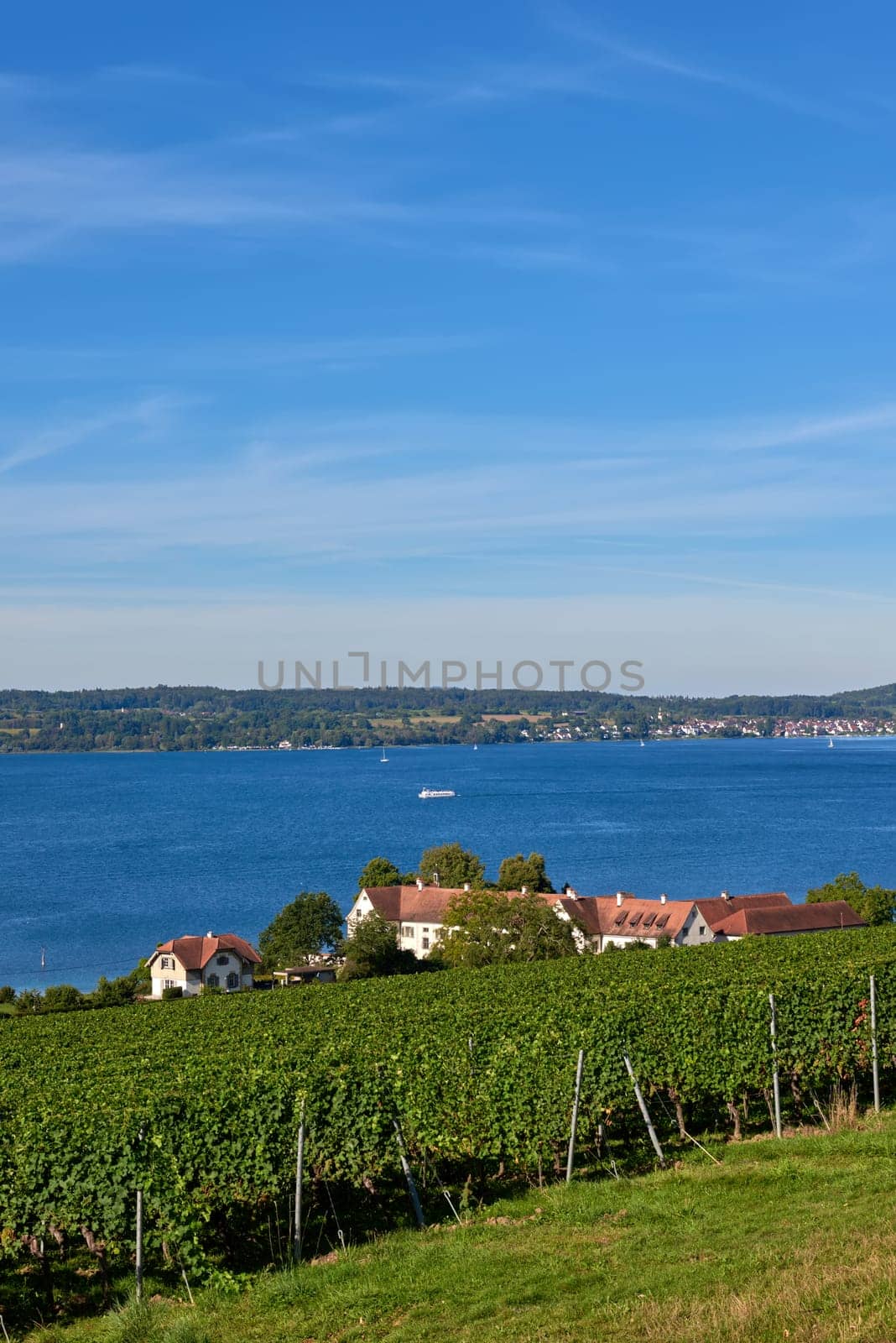 Bodensee Panorama: Alps on the Horizon, Vineyards, and Pastoral Beauty. Alpine Horizon: Bodensee, Vineyards, and Quaint Villages in the German Countryside. Vineyard Vistas: Bodensee, Alpine Peaks, and the Rural Charm of German Agriculture. Rural Tranquility: Bodensee Overlooking Pastures, Vineyards, and Traditional Villages by Andrii_Ko