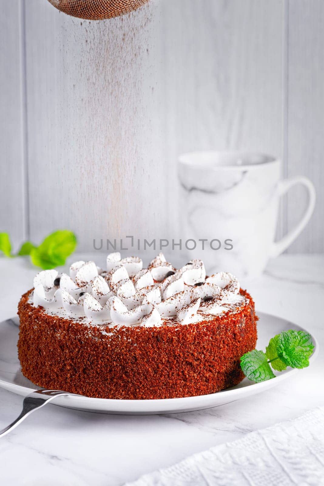 Perfect homemade tiramisu cake sprinkled with cocoa powder. Close up. Copy space by NataliPopova