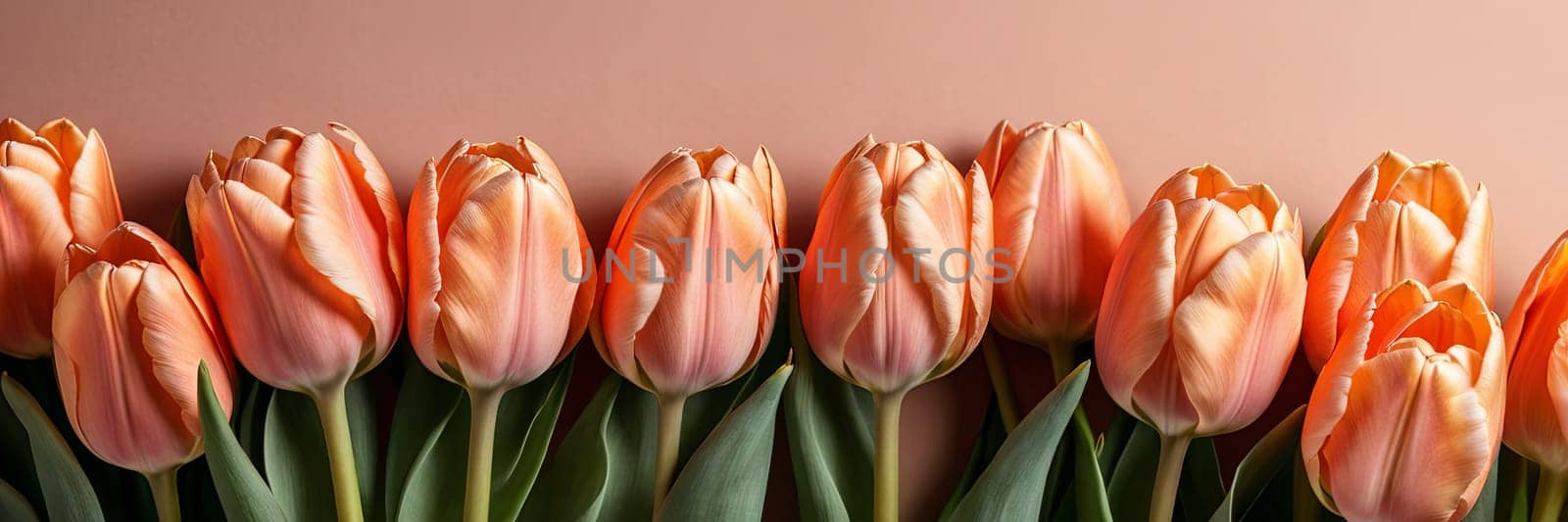 A row of orange tulips with green leaves. The flowers are arranged in a line and are of varying heights