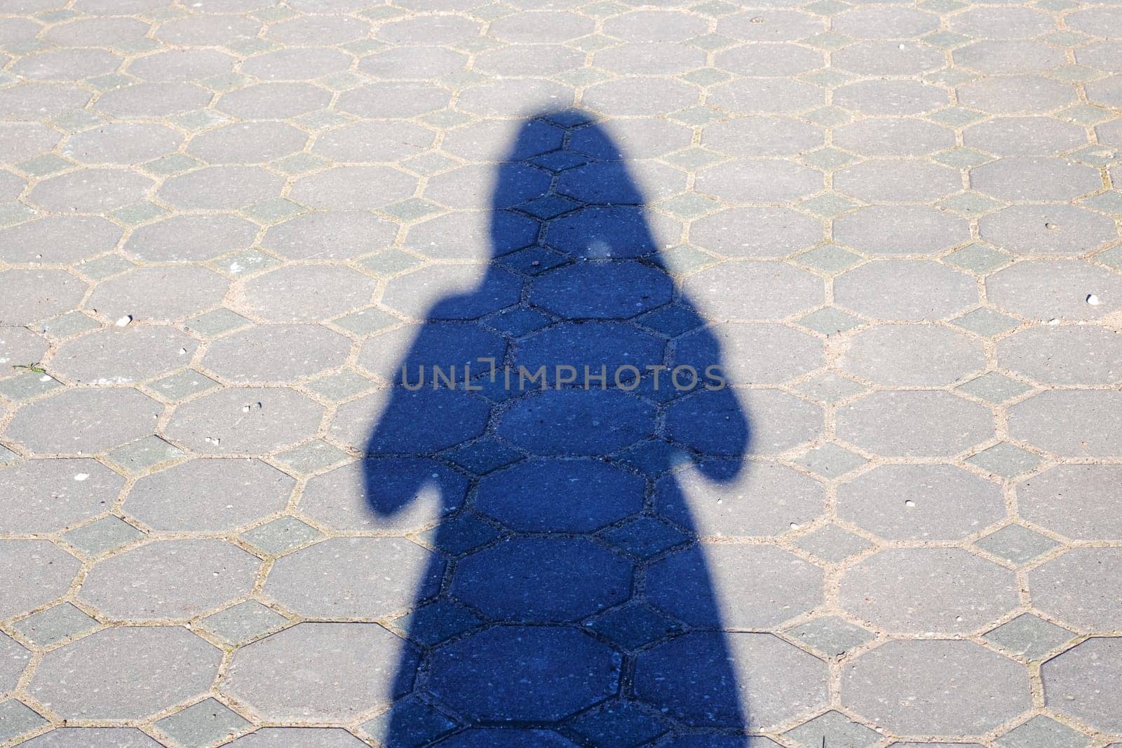 A womans shadow falls on the asphalt road, her outerwear a vibrant electric blue against the tar. People in nature, enjoying recreation under the tinted shades of the trees