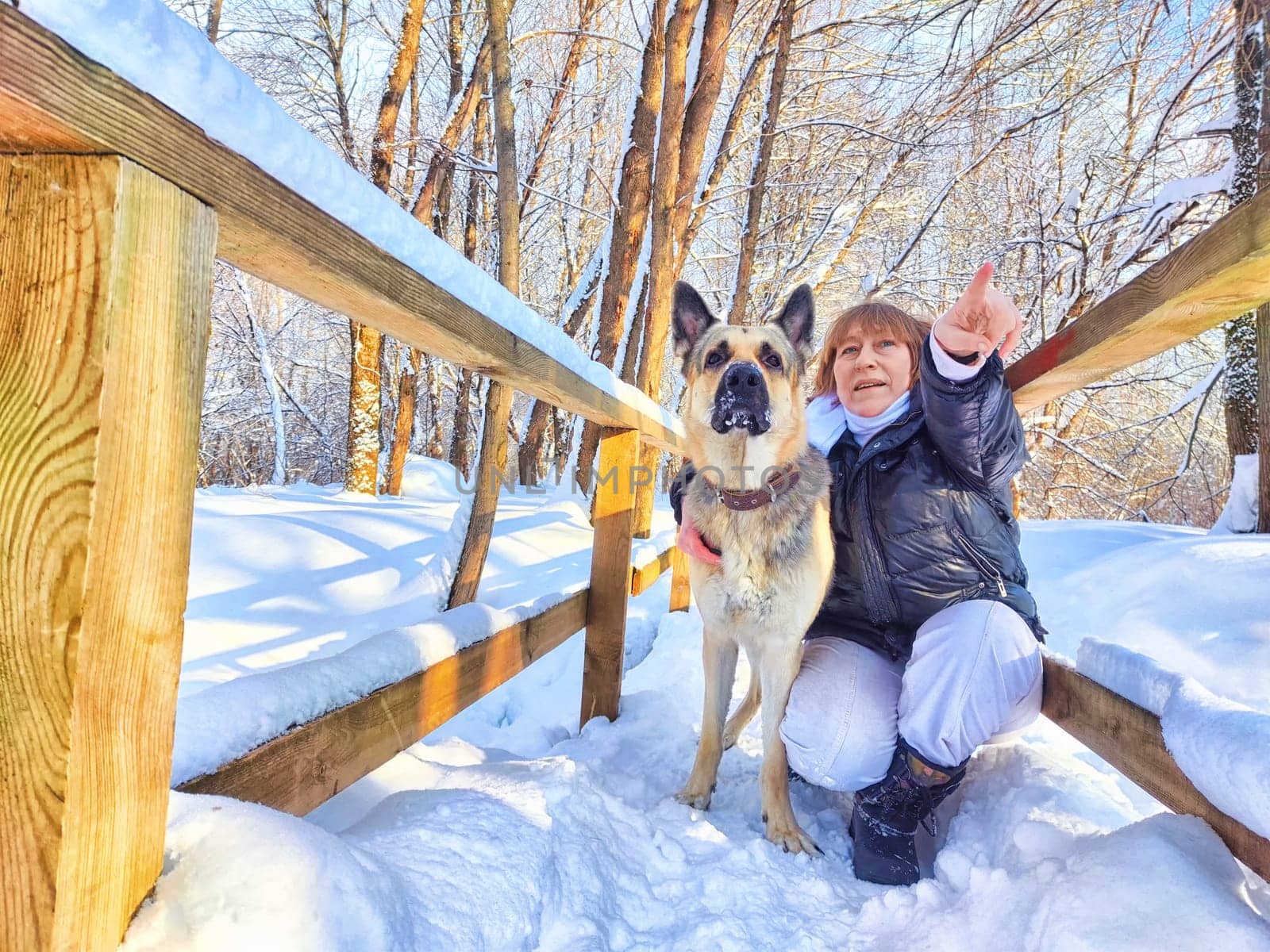 Adult girl or mature lady walking with shepherd dog, taking selfies in winter nature landscape. Middle aged woman and big shepherd dog on wooden bridge in cold day. Friendship, love, communication