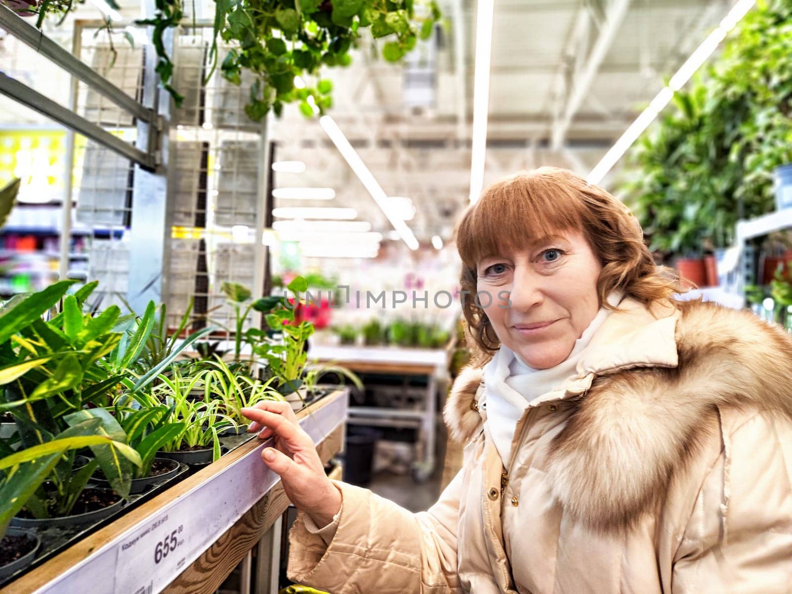 Middle-Aged girl in a flower and plant shop. Mature Woman Shopping for Seedlings at Plant Nursery in Spring