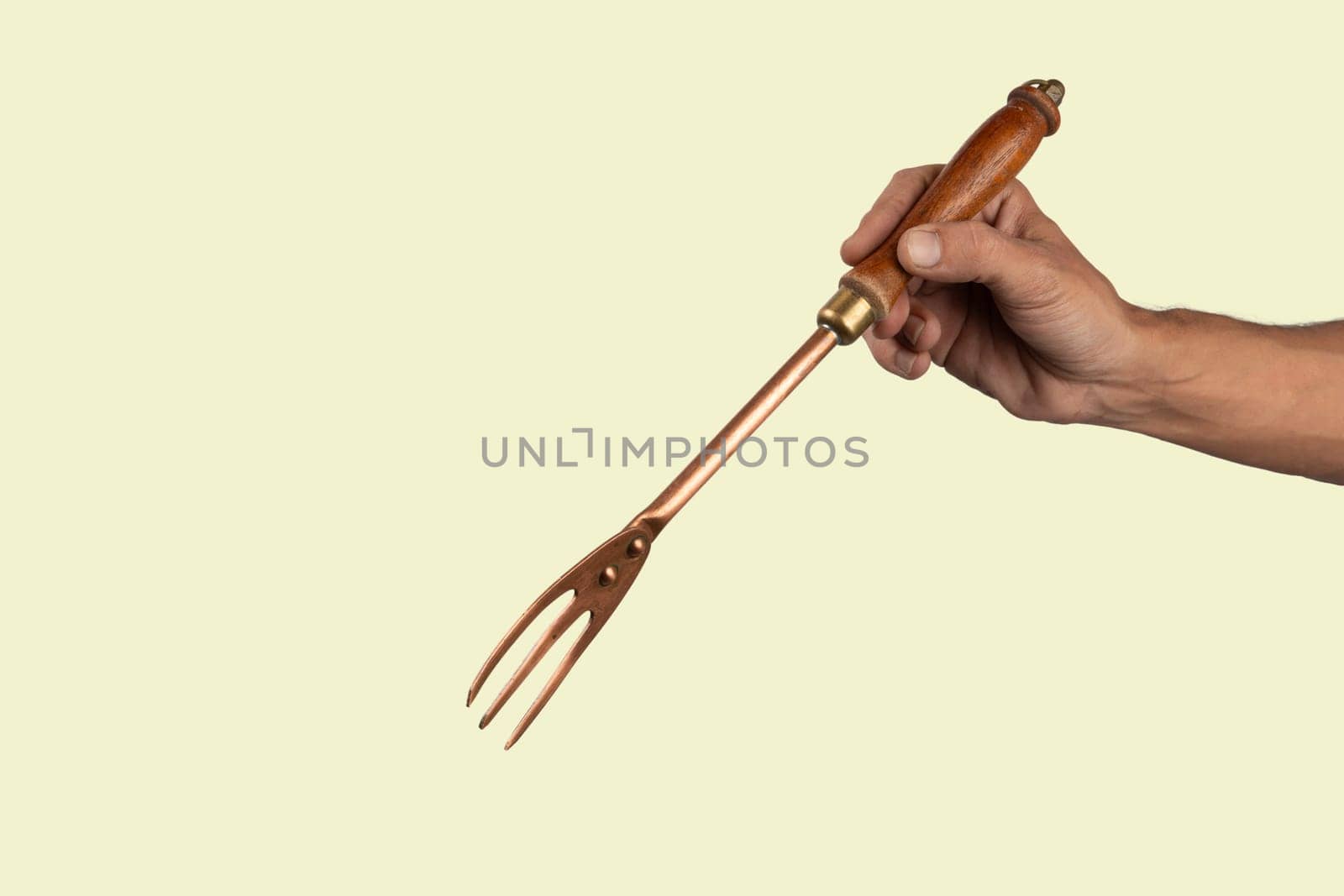 Black male hand holding a vintage brass meat fork on green background. High quality photo